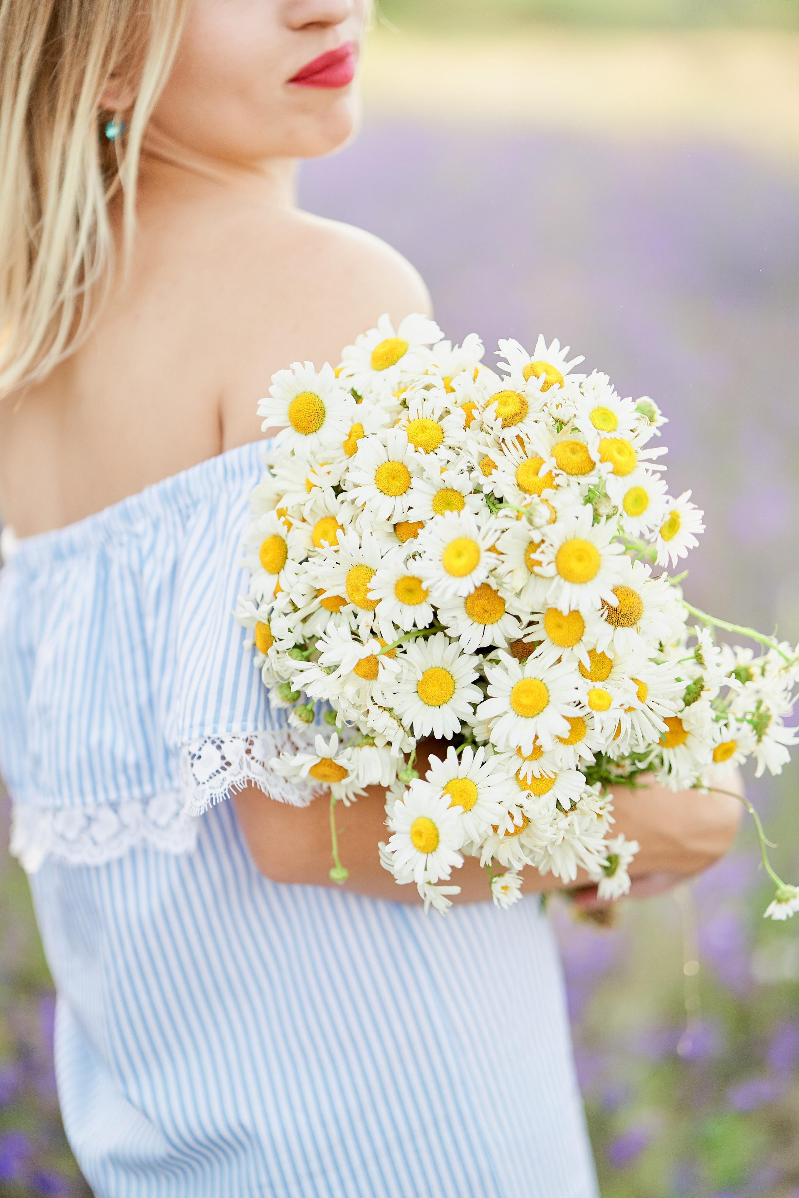 Летнее фиолетовое поле. Свадебный фотограф Даугавпилс, Рига/ Kāzu fotogrāfs Daugavpils, Rīga