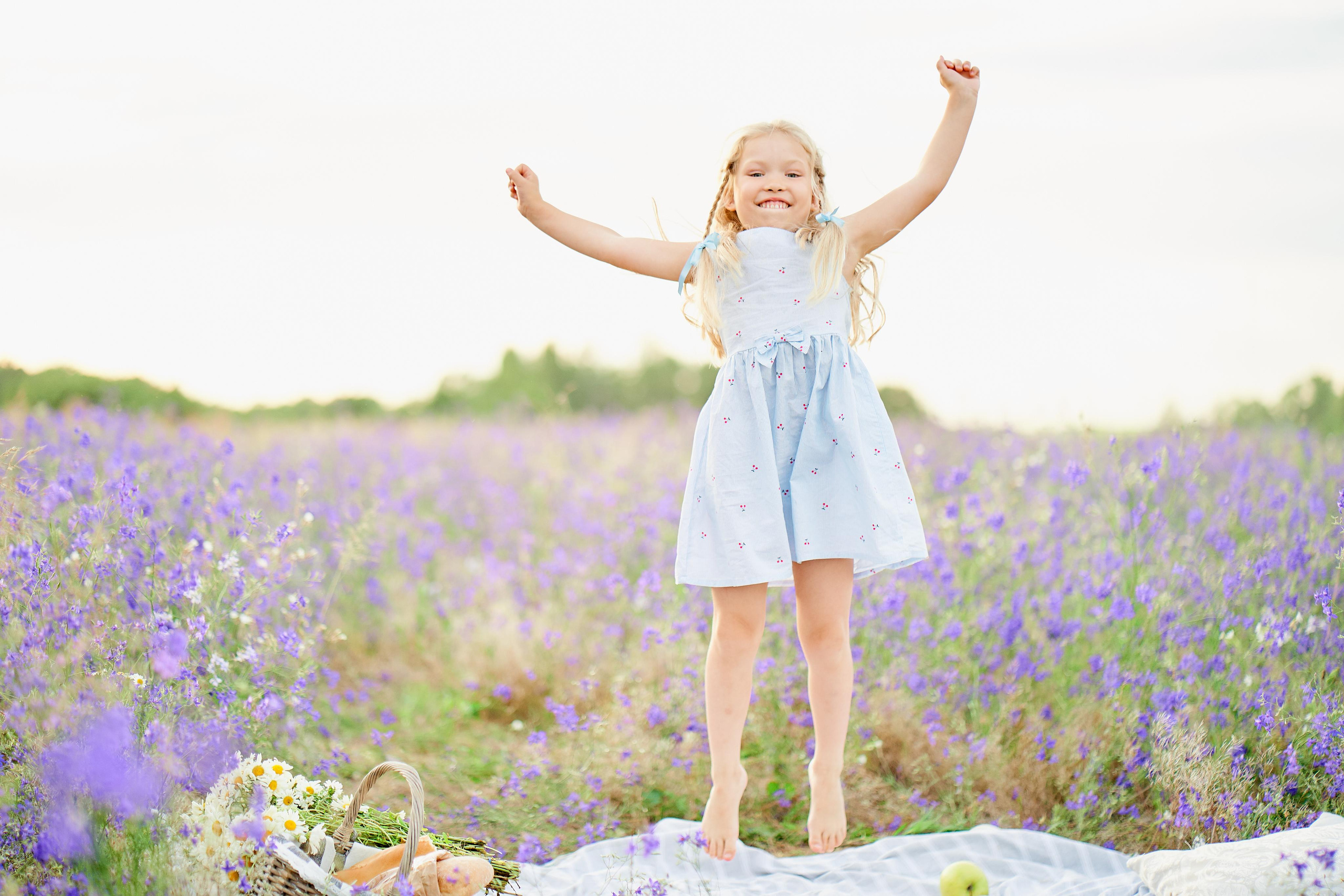 Летнее фиолетовое поле. Свадебный фотограф Даугавпилс, Рига/ Kāzu fotogrāfs Daugavpils, Rīga