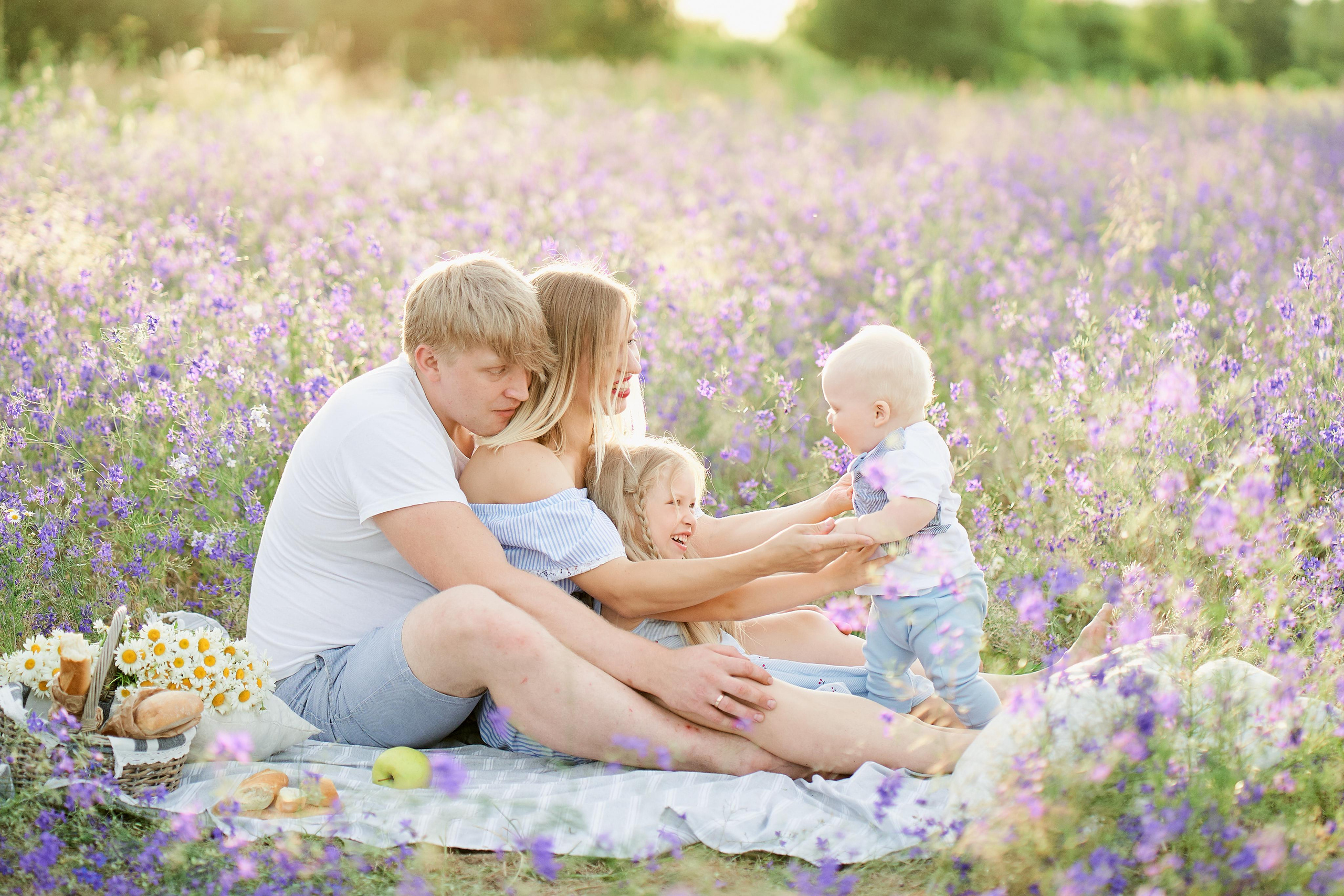 Летнее фиолетовое поле. Свадебный фотограф Даугавпилс, Рига/ Kāzu fotogrāfs Daugavpils, Rīga