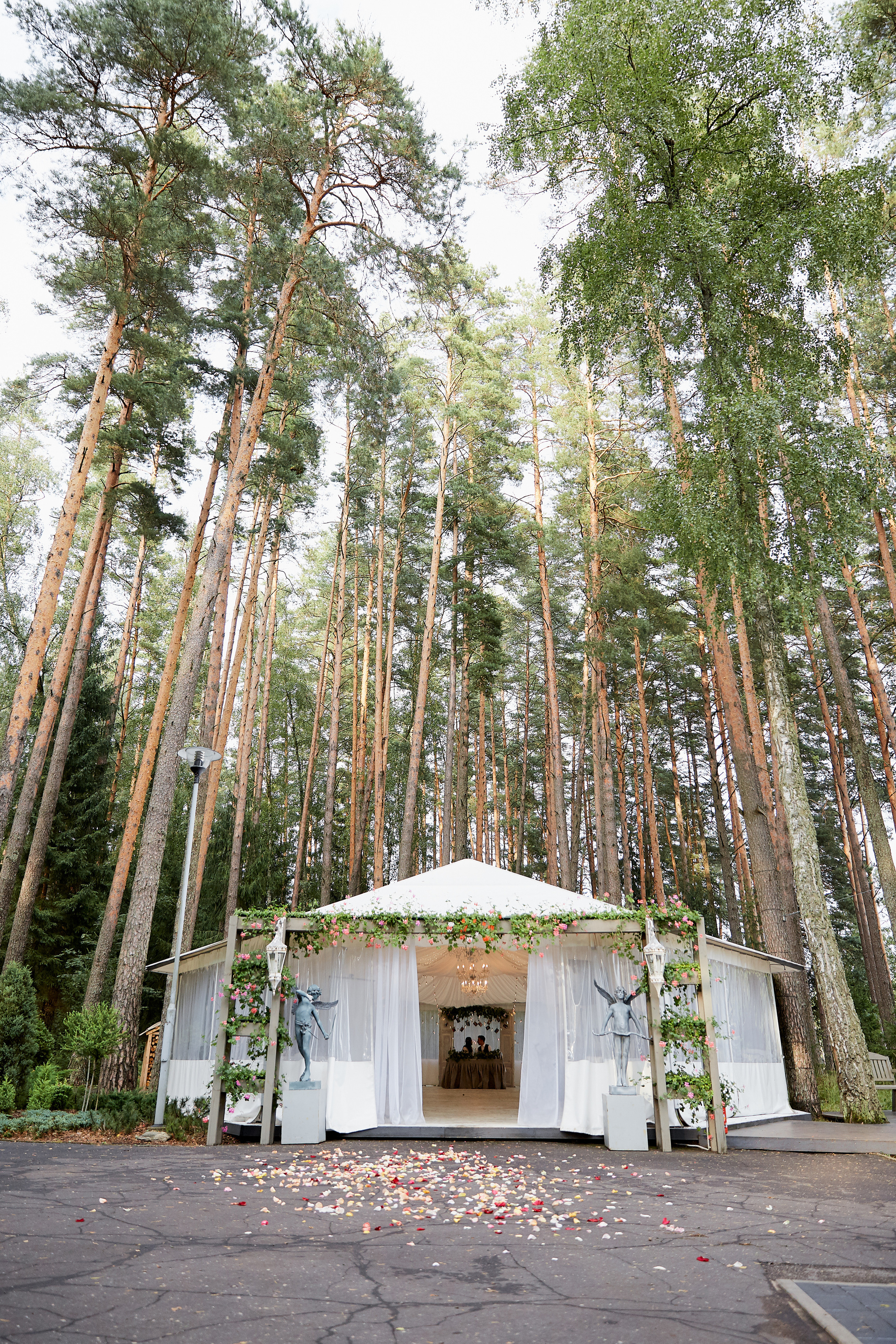 Lera & Alex. Свадебный фотограф Даугавпилс, Рига/ Kāzu fotogrāfs Daugavpils, Rīga