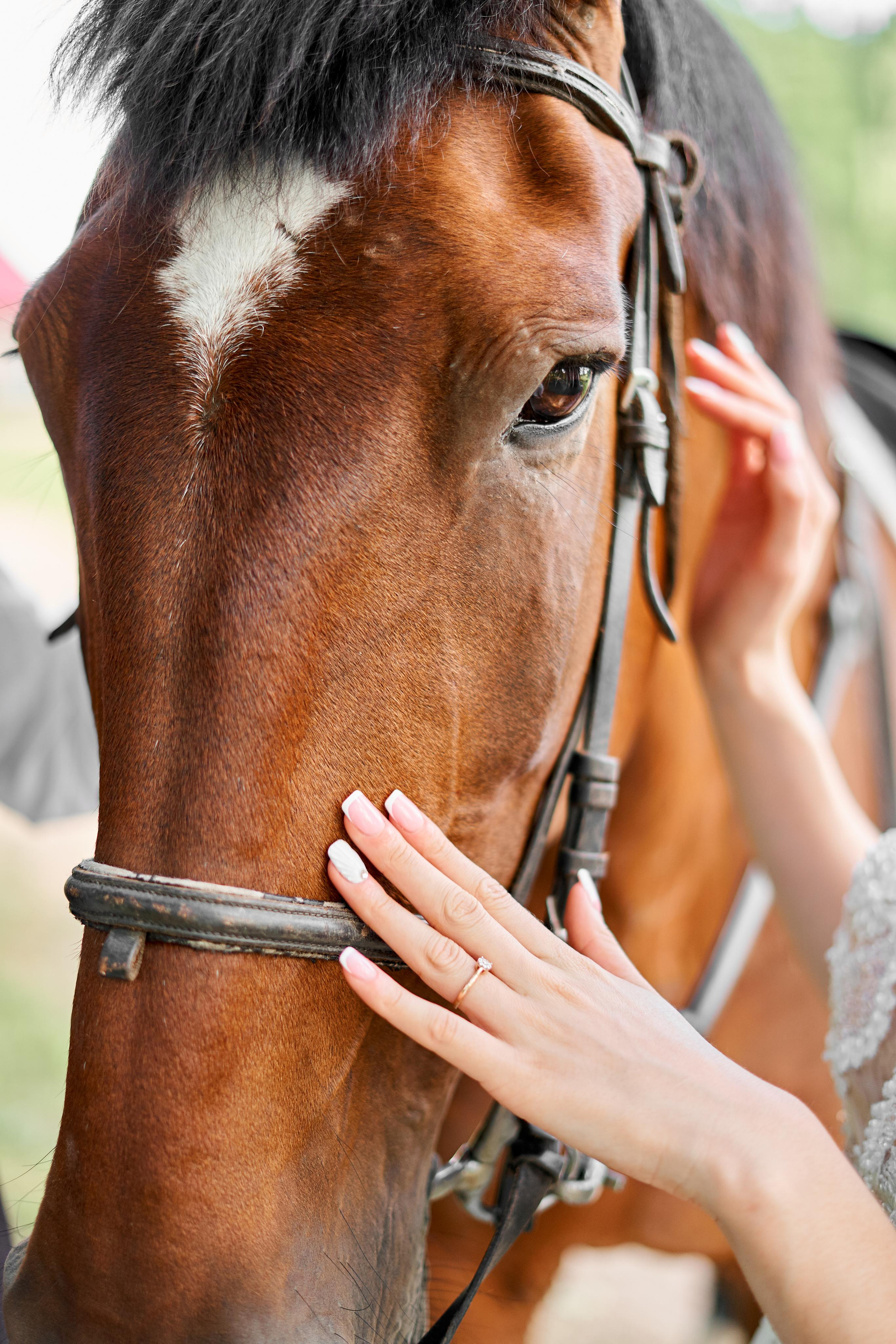 Greta & Elvis. Свадебный фотограф Даугавпилс, Рига/ Kāzu fotogrāfs Daugavpils, Rīga