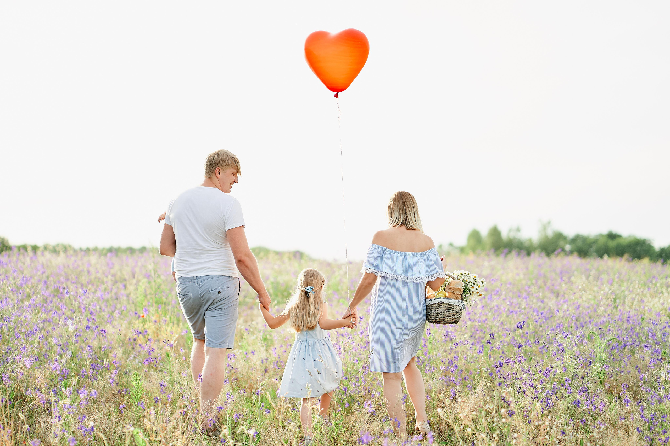 Летнее фиолетовое поле. Свадебный фотограф Даугавпилс, Рига/ Kāzu fotogrāfs Daugavpils, Rīga