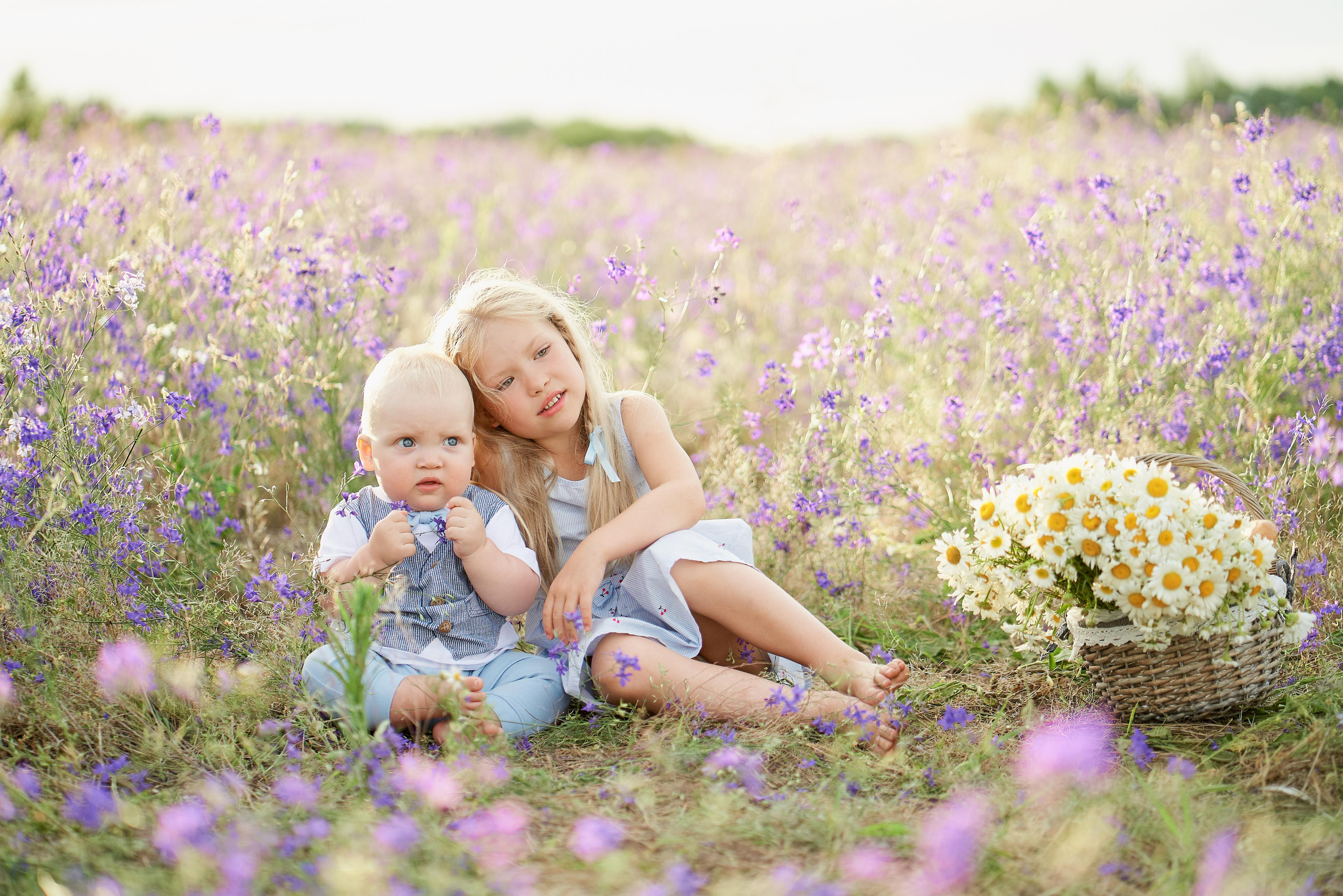 Летнее фиолетовое поле. Свадебный фотограф Даугавпилс, Рига/ Kāzu fotogrāfs Daugavpils, Rīga