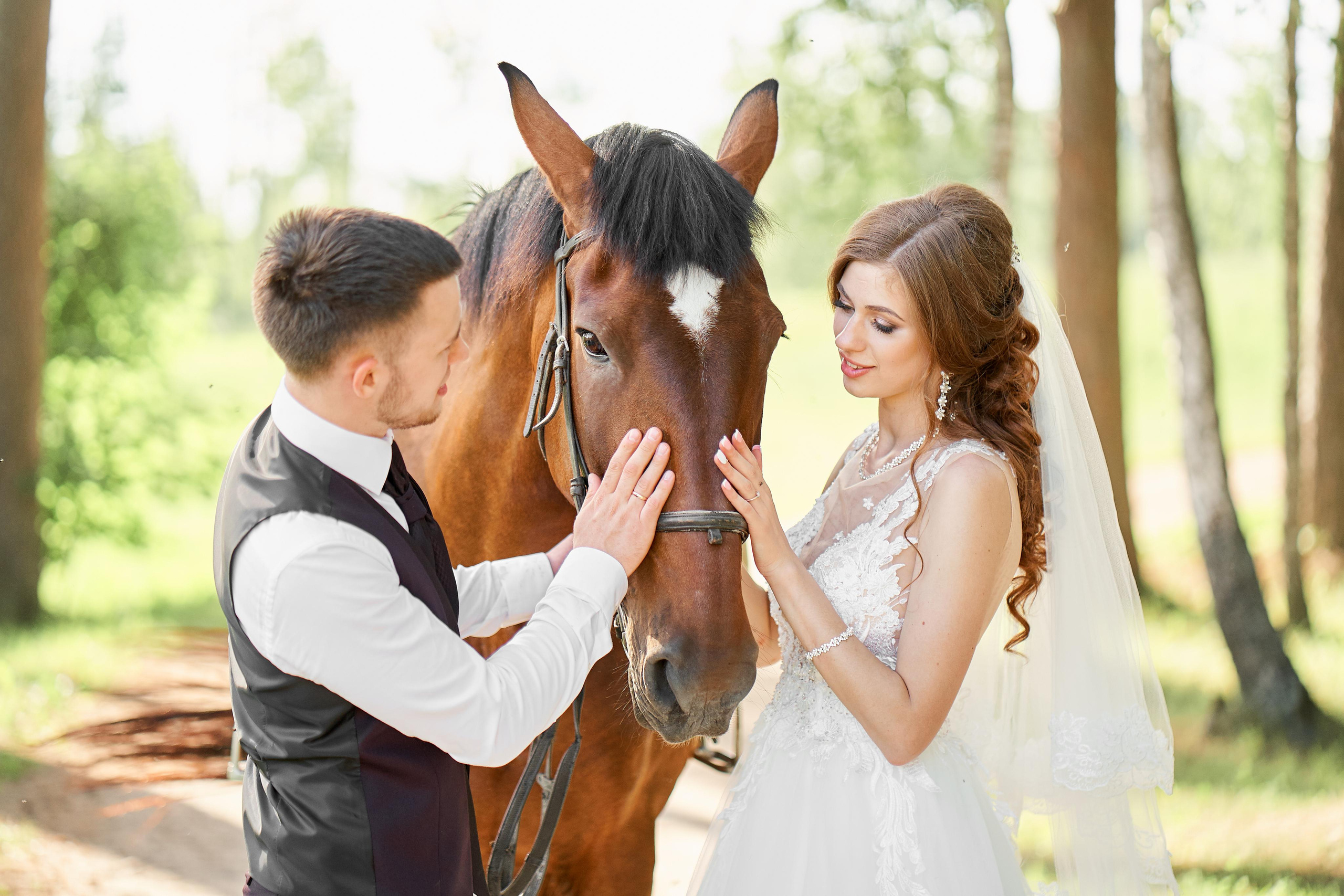 Greta & Elvis. Свадебный фотограф Даугавпилс, Рига/ Kāzu fotogrāfs Daugavpils, Rīga