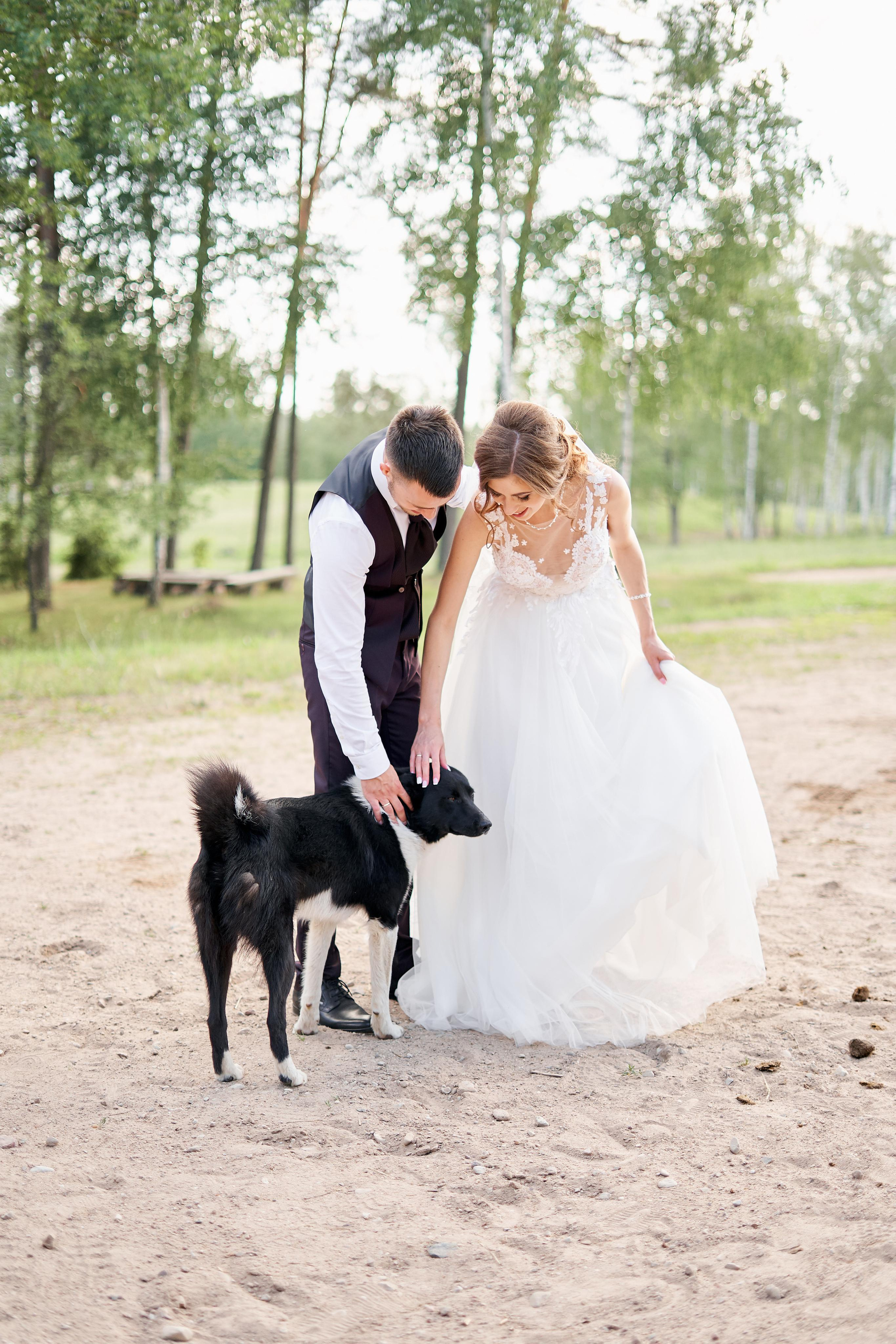Greta & Elvis. Свадебный фотограф Даугавпилс, Рига/ Kāzu fotogrāfs Daugavpils, Rīga