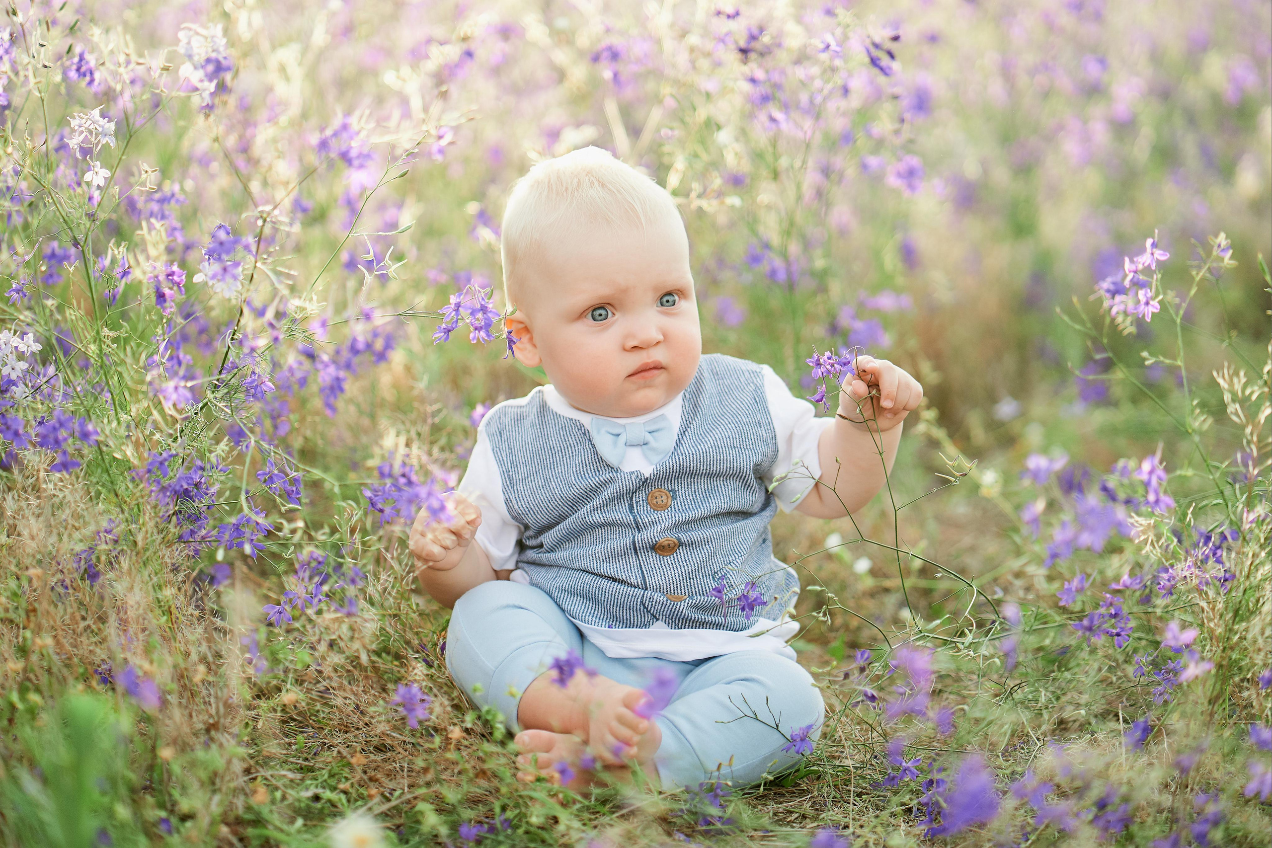 Летнее фиолетовое поле. Свадебный фотограф Даугавпилс, Рига/ Kāzu fotogrāfs Daugavpils, Rīga