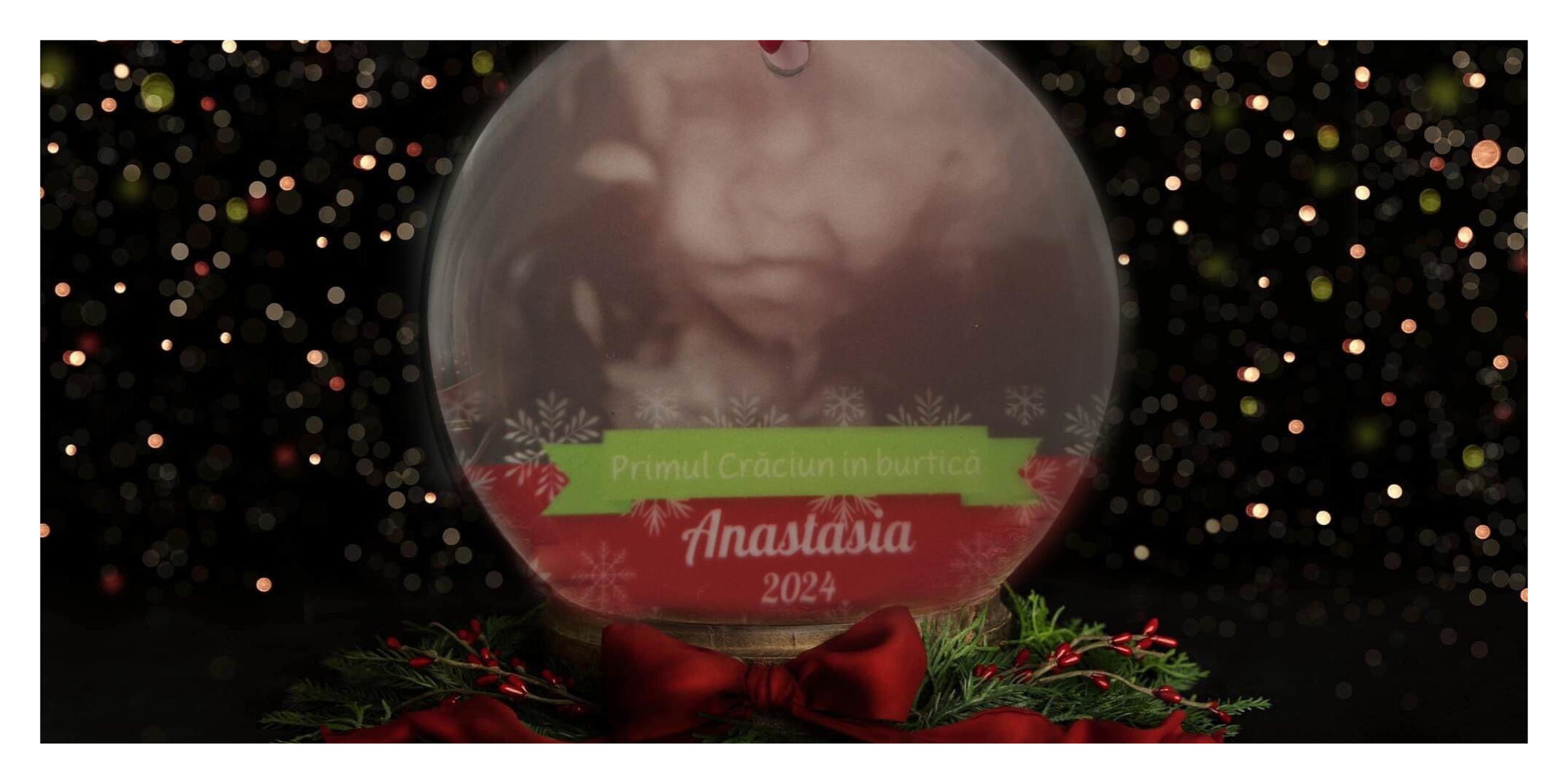 Album Craciun Francesca