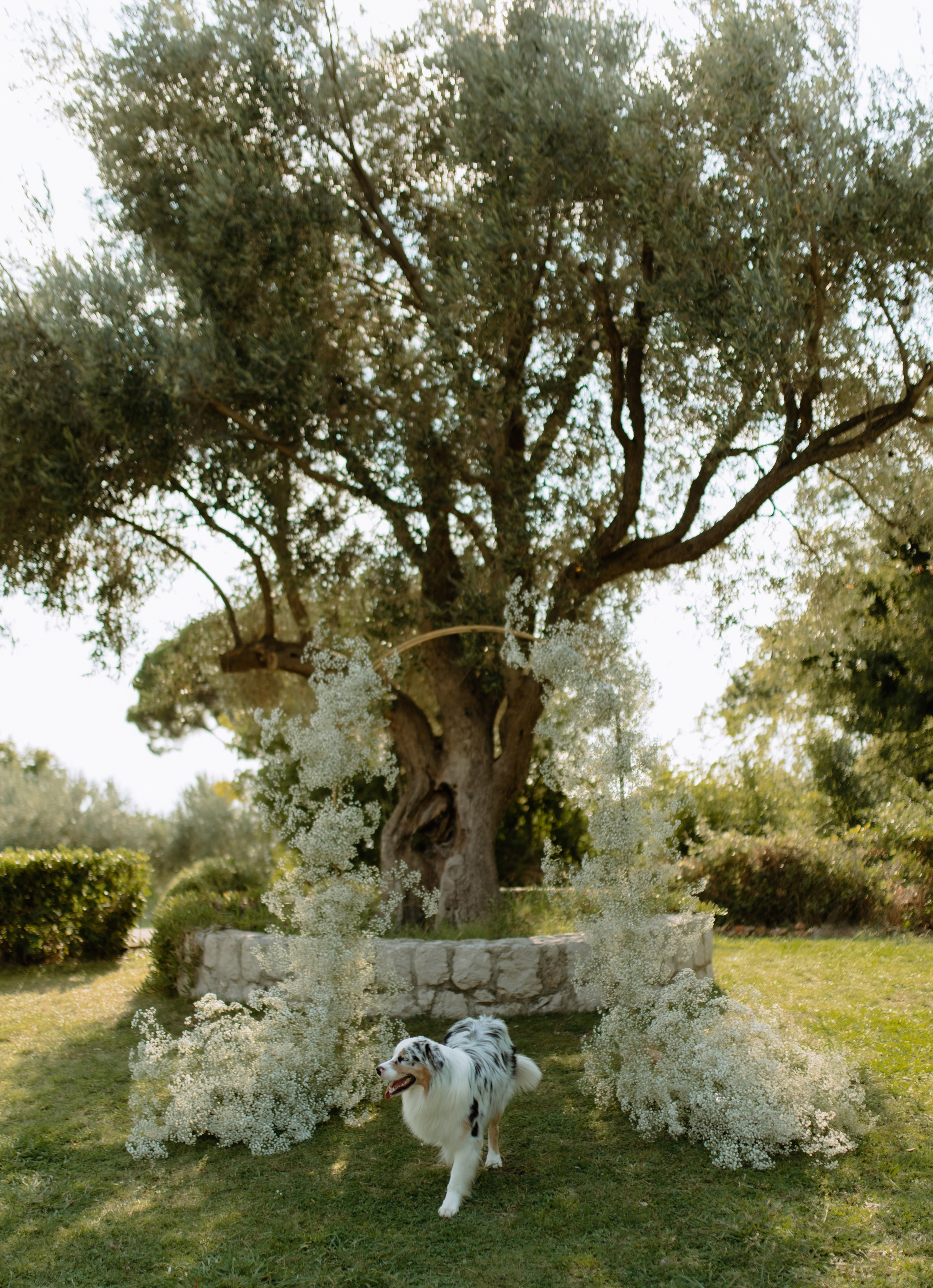 Justyna ir Paulius | 2023 | MONTENEGRO. Vestuvių ir šeimų fotografė Lena Bondarenko / belove photo