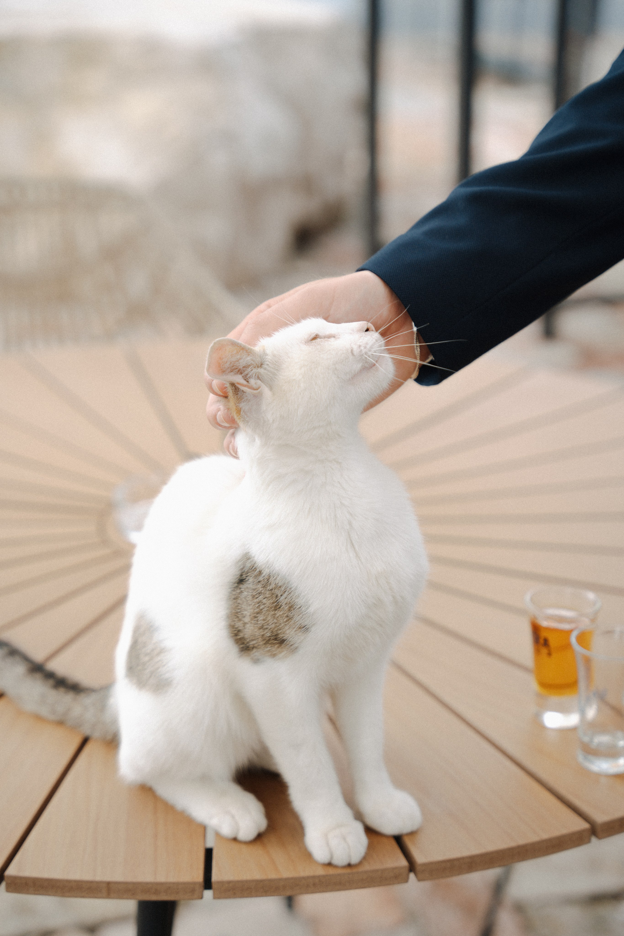 Alexa és norbi album. Csilla visuals