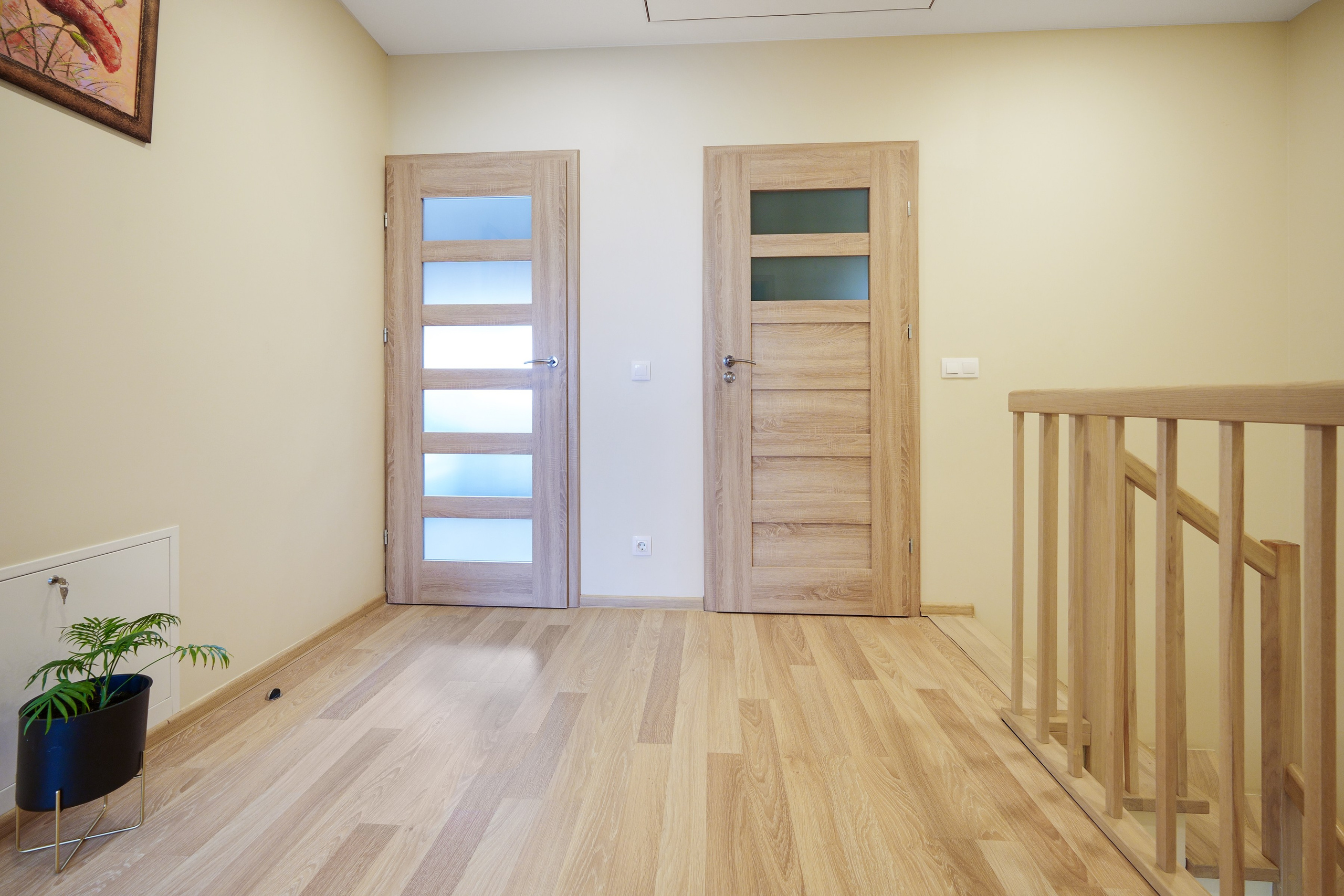 Tarandė. Elina Sapiega fotografė Vilniuje