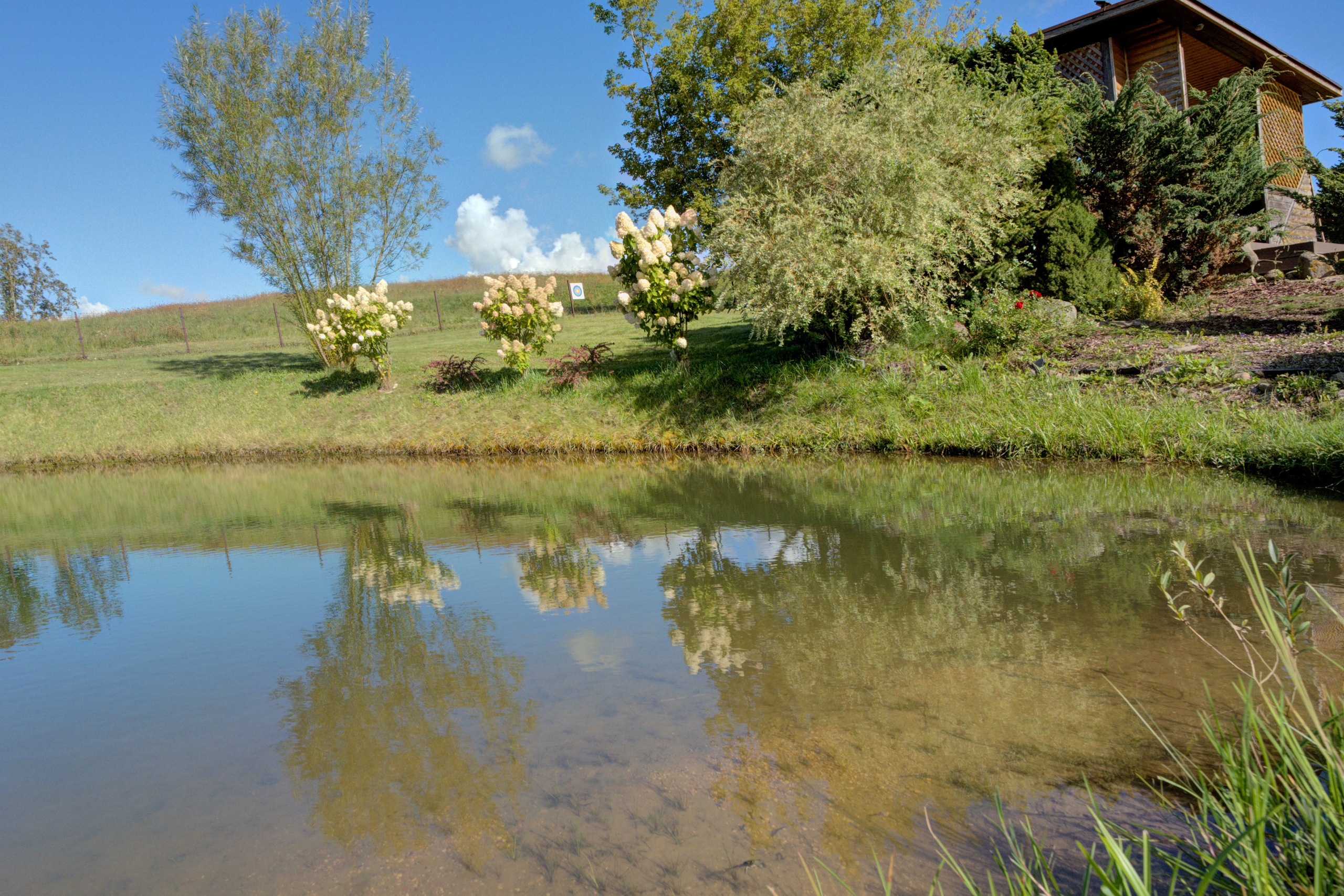Sadyba Vinliaus r. prie ežero. Elina Sapiega fotografė Vilniuje