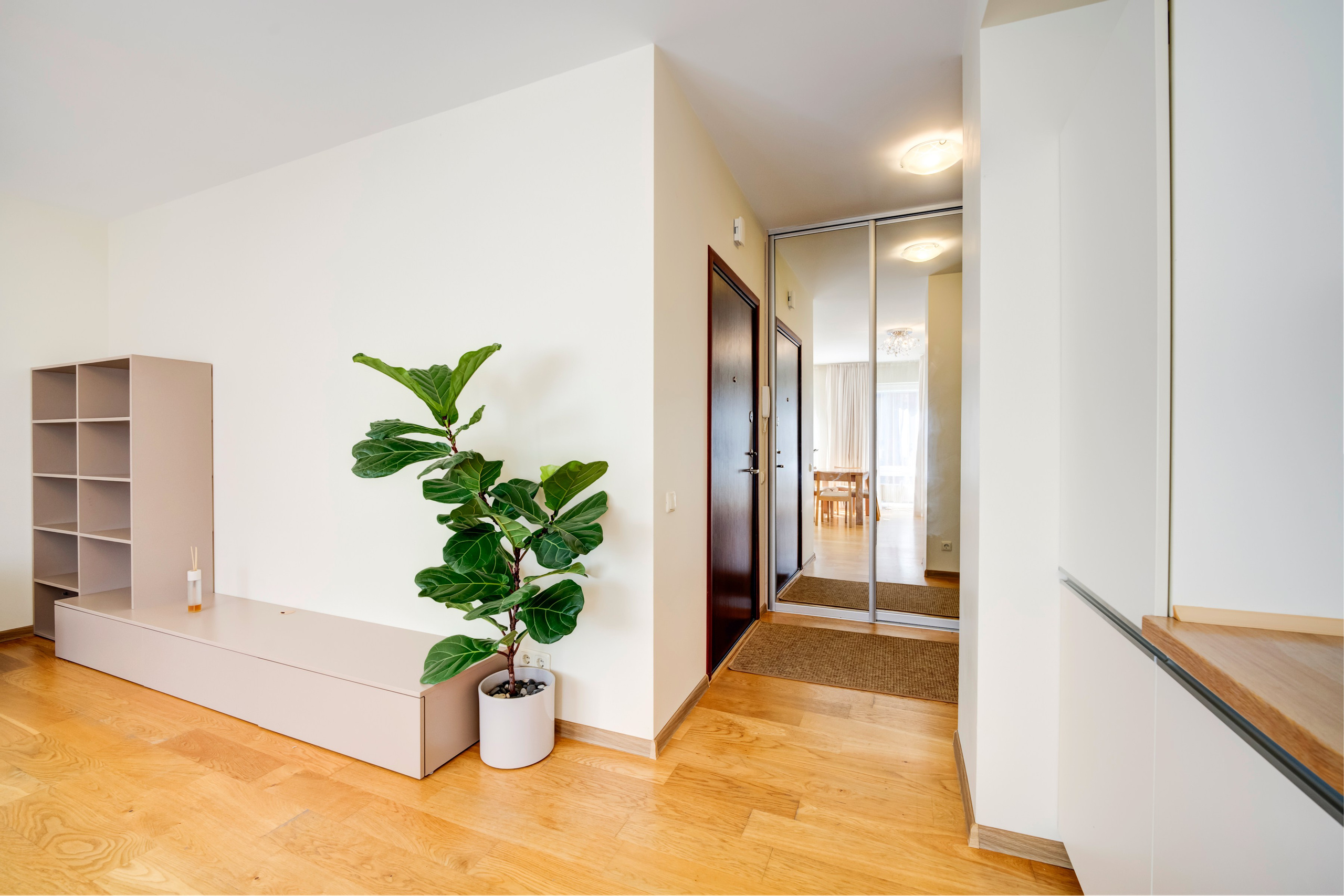 Franko g. 12. Elina Sapiega fotografė Vilniuje