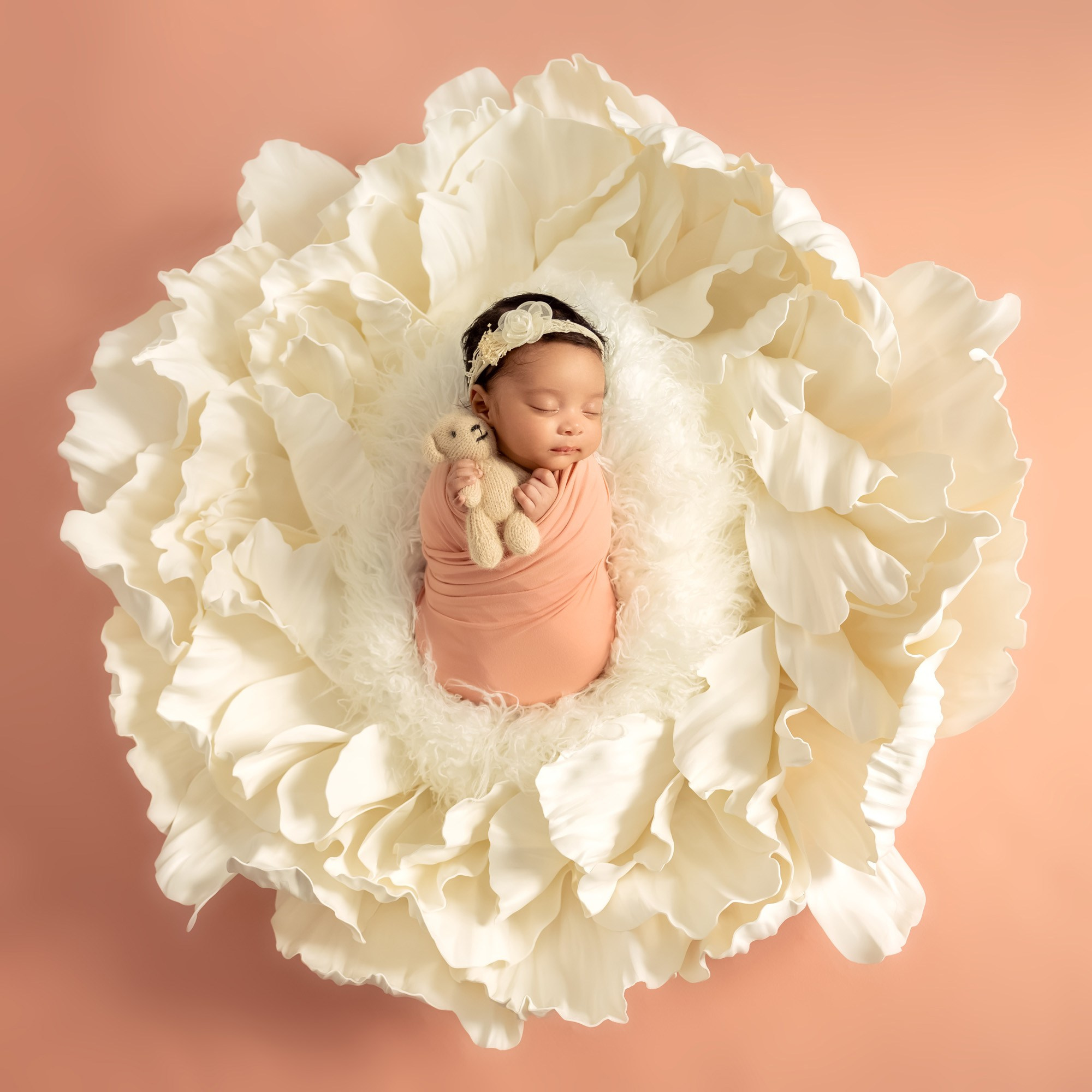 Newborn photos. Newborn photographer in Tampa Bay Area, FL