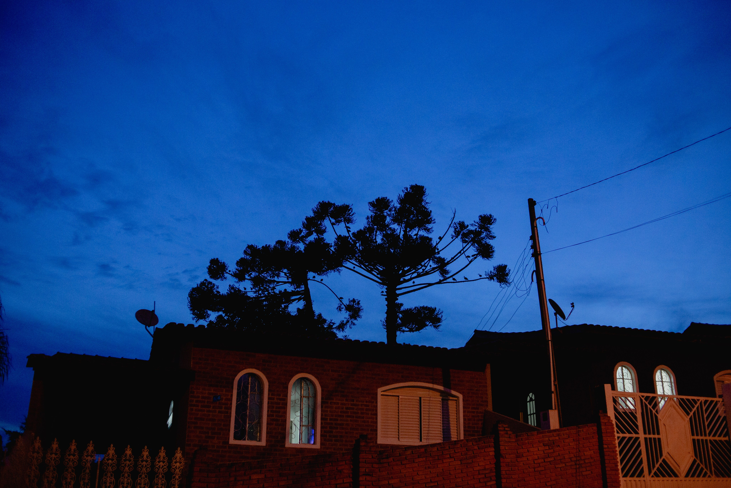 Documental Família Shimizu