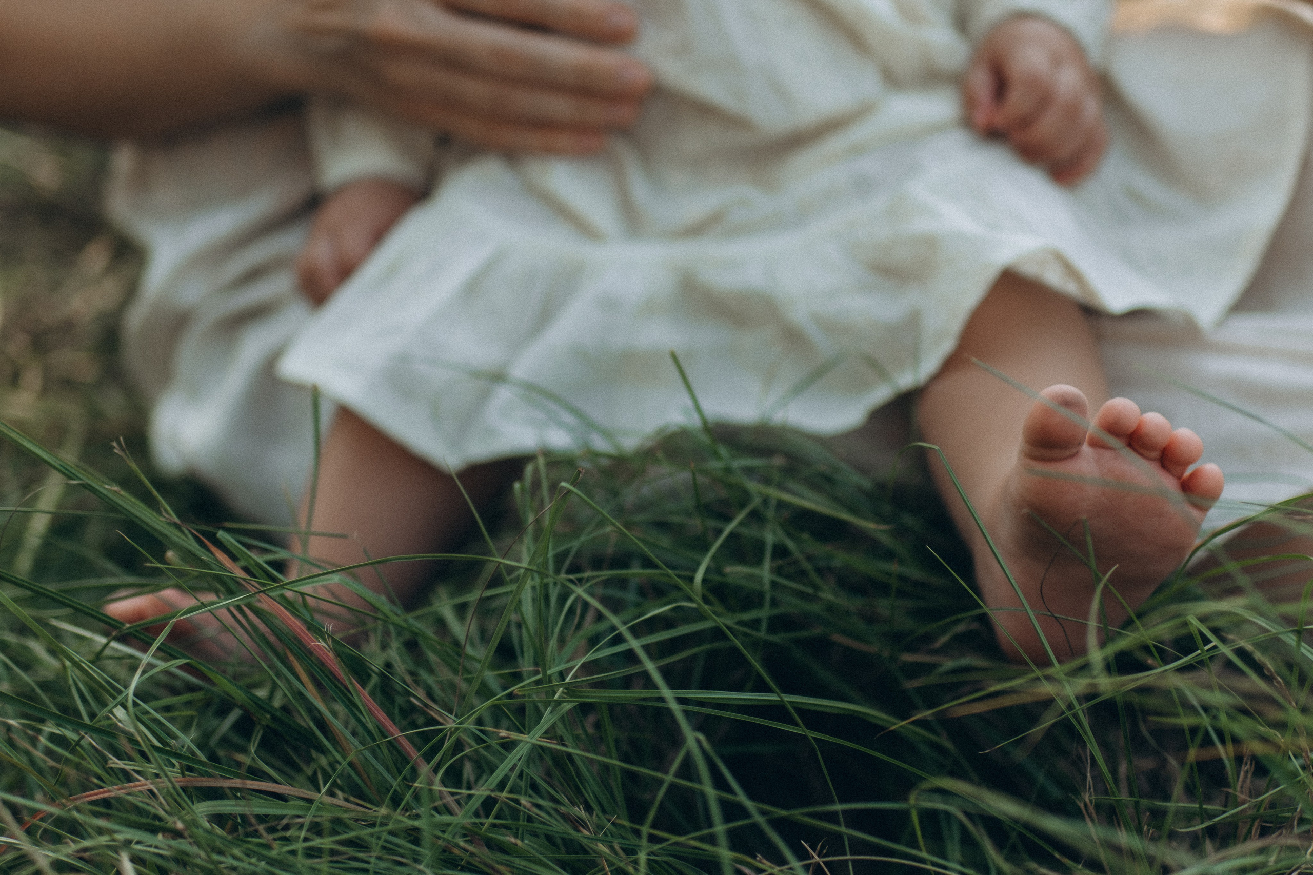 The Woodlands. Lens Captures Life