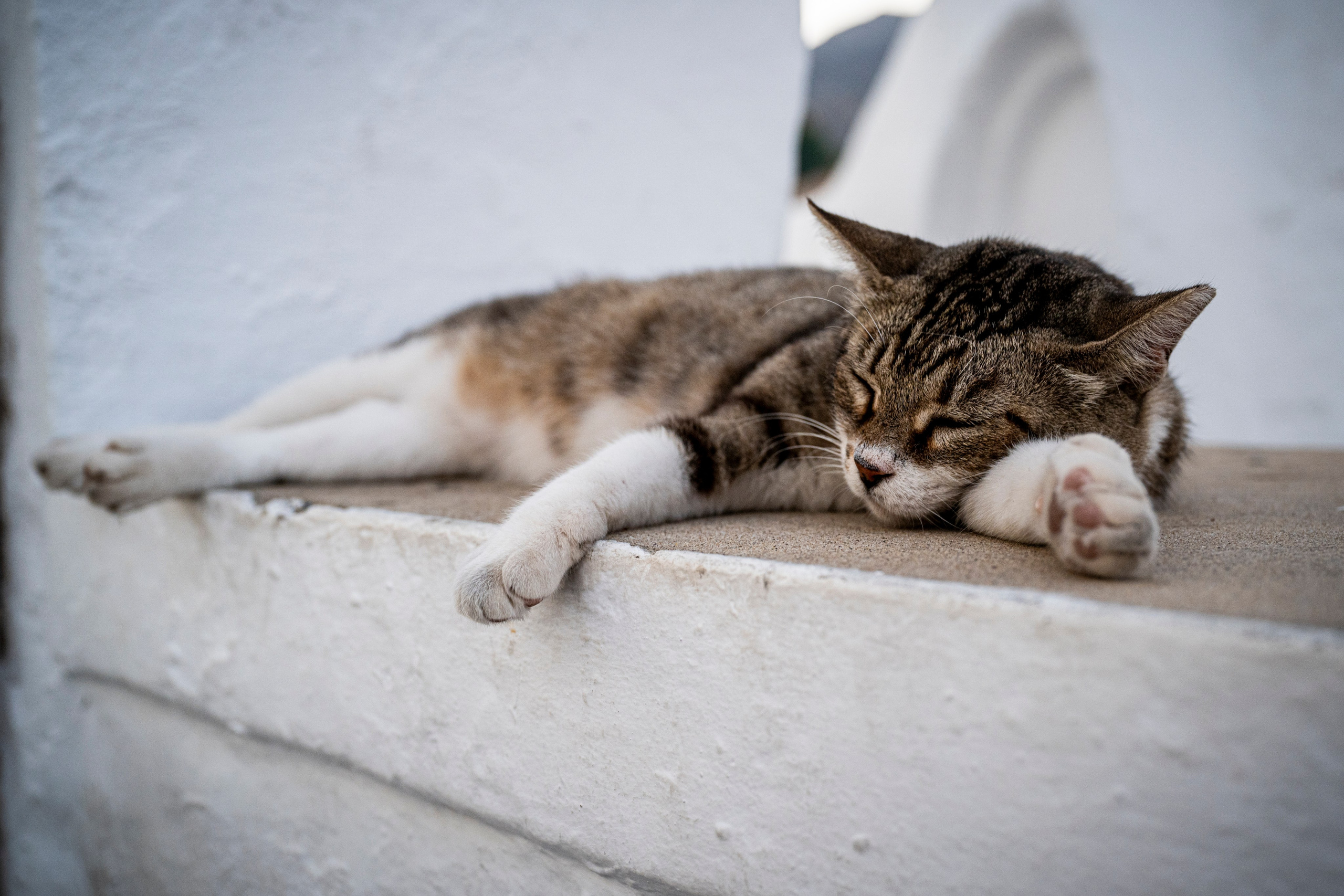 Street. “Gianmaria Coscia fotografo per passione”
