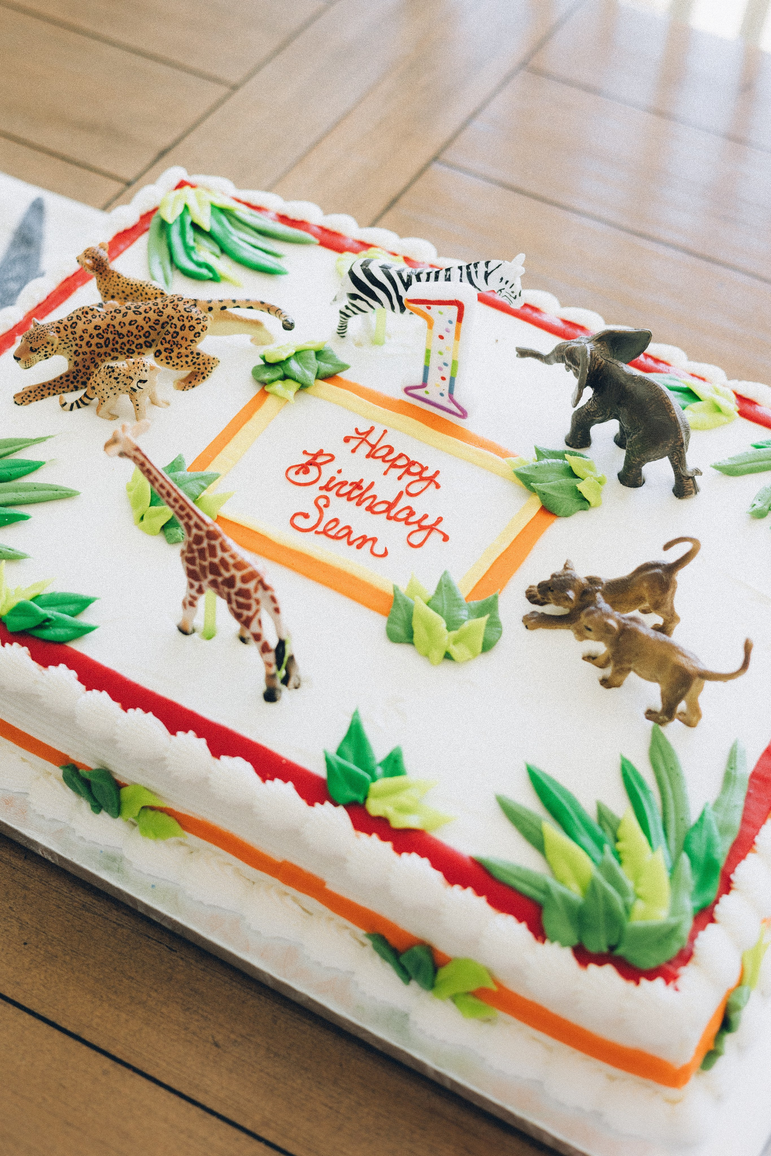 Sean’s Birthday. Sara Eulalia | Virginia Photographer