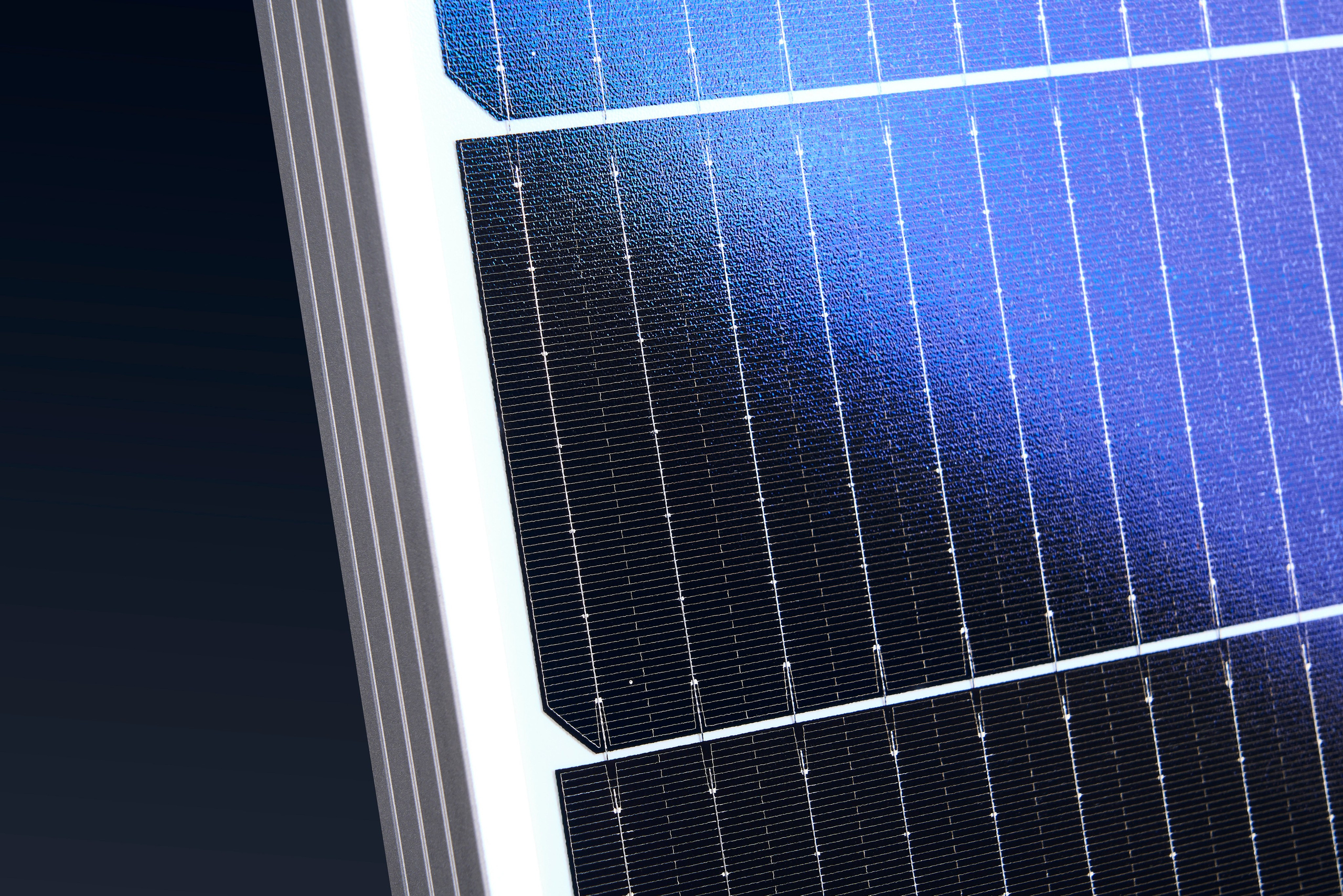 Фотограф в Ташкенте Павел Насенников