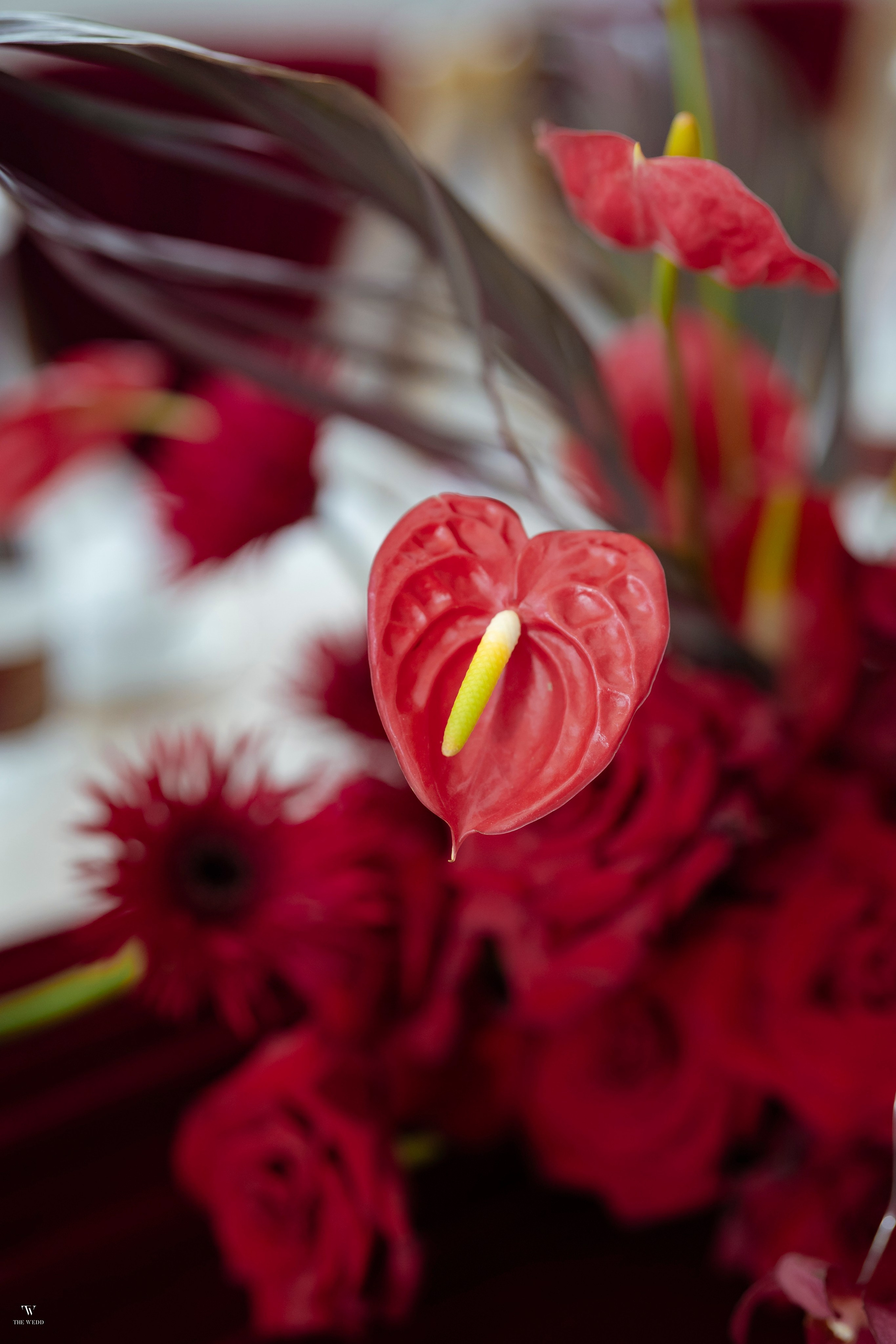 NAM & PHƯỢNG. WEDDING PHOTOGRAPHER IN VIETNAM