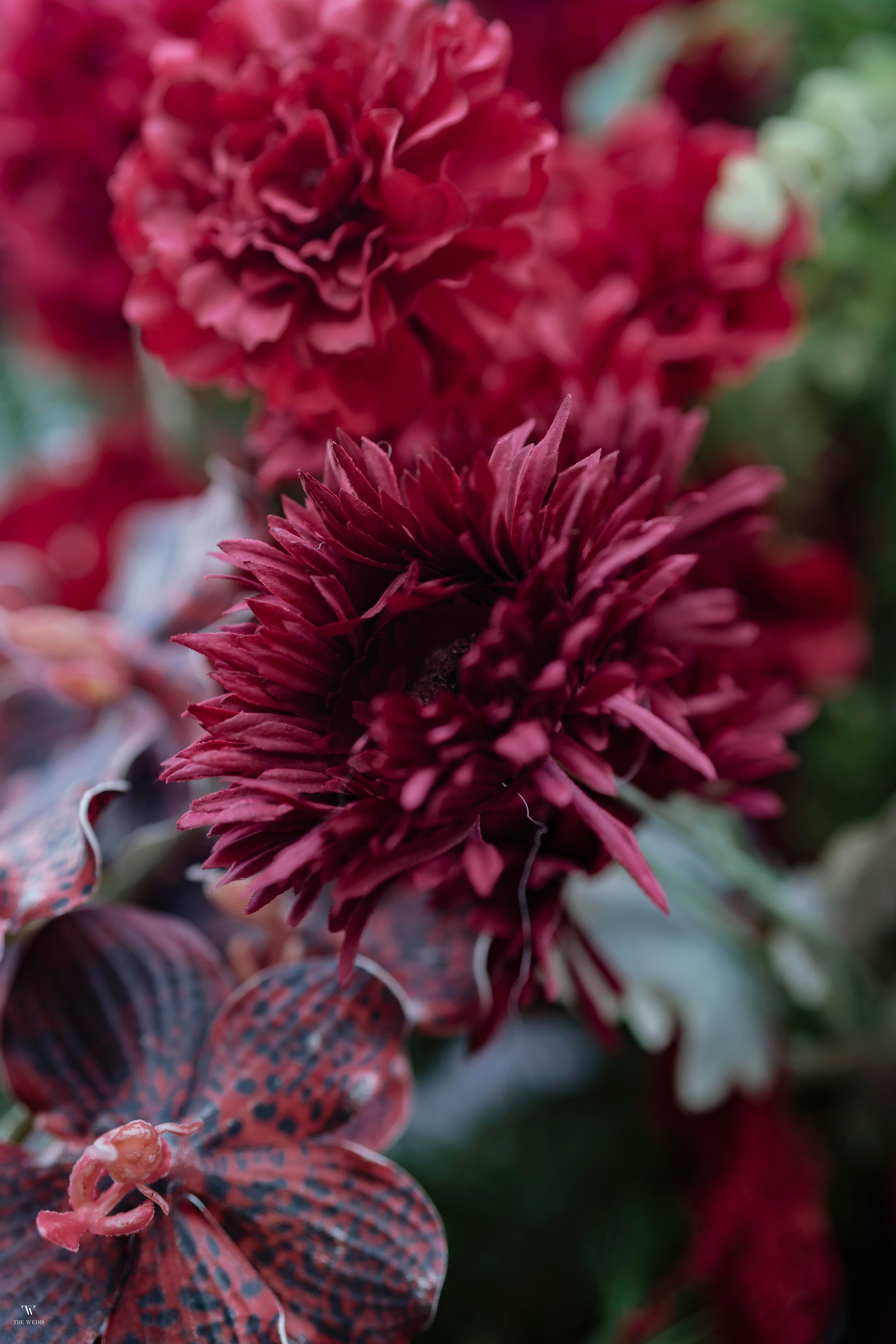 NGHIA & NGOC. WEDDING PHOTOGRAPHER IN VIETNAM