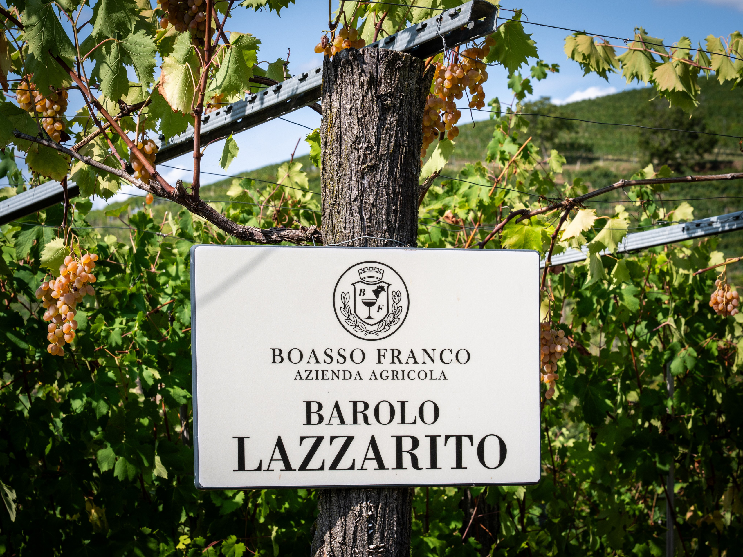 Cantine Boasso Serralunga. “Gianmaria Coscia fotografo per passione”