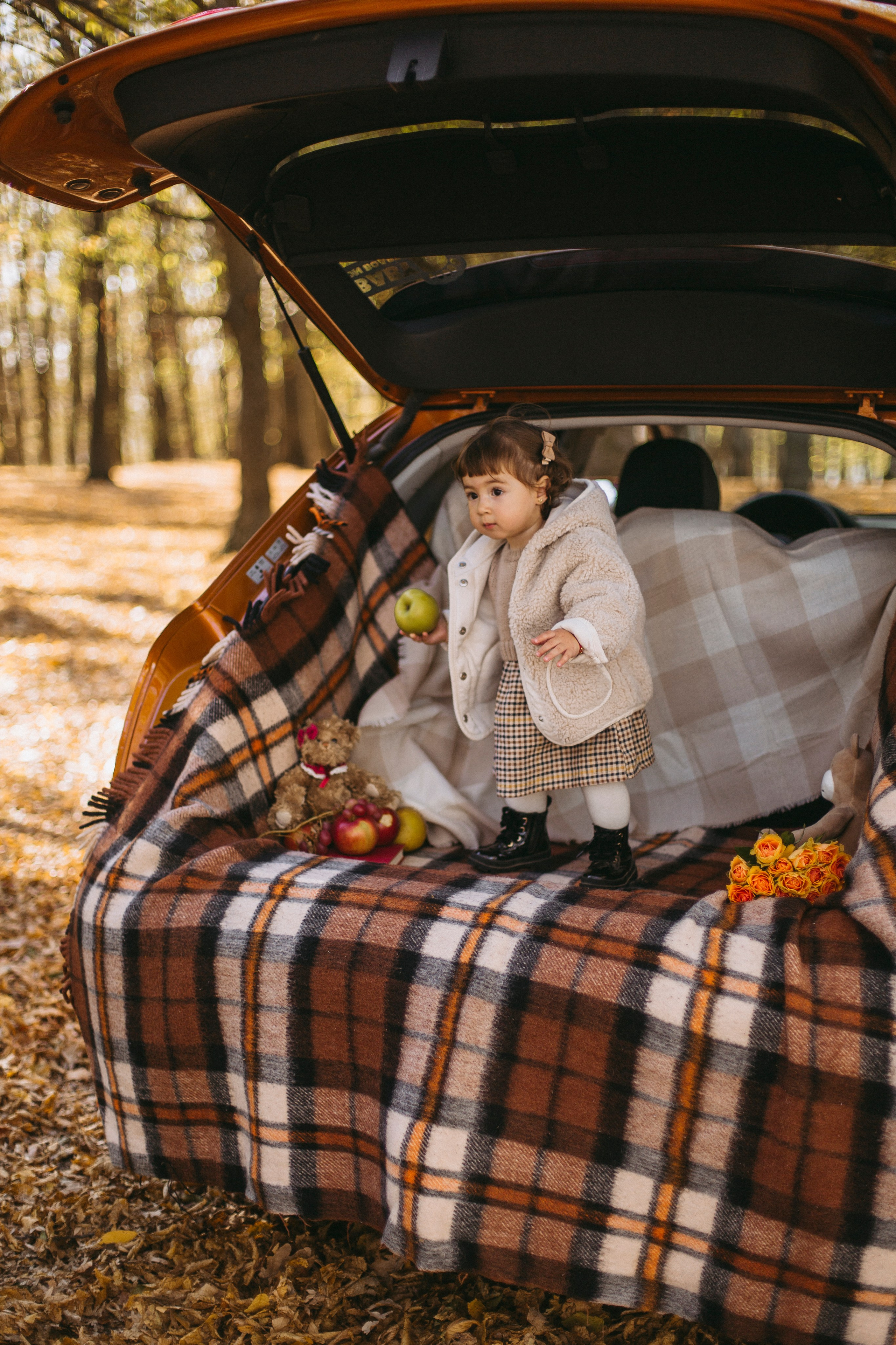 Pricop. Fotograf București, România