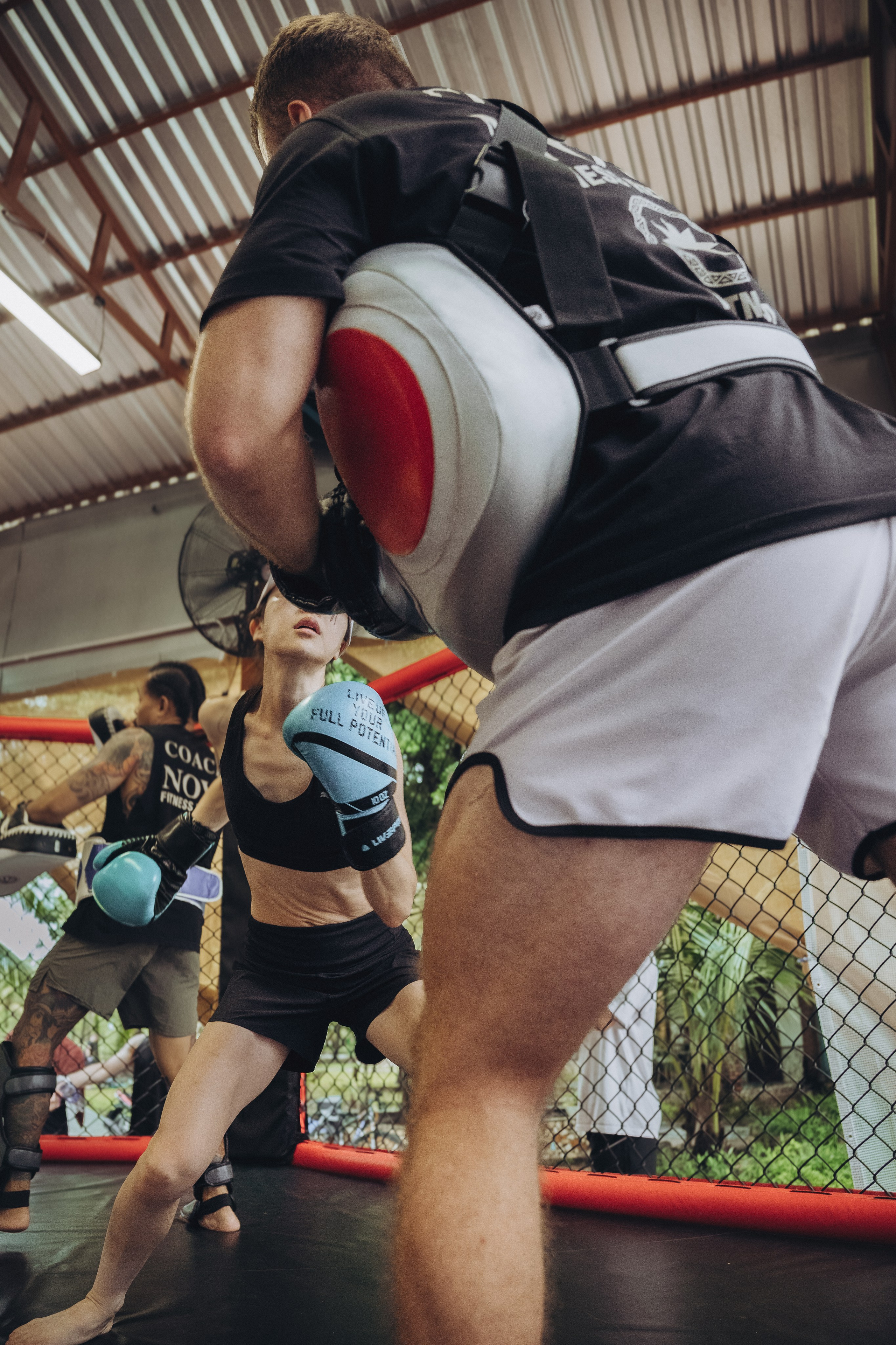 FITCULATOR. Nova Fitness Retreat | Fitness & Wellness Retreat in Phu Quoc, Vietnam