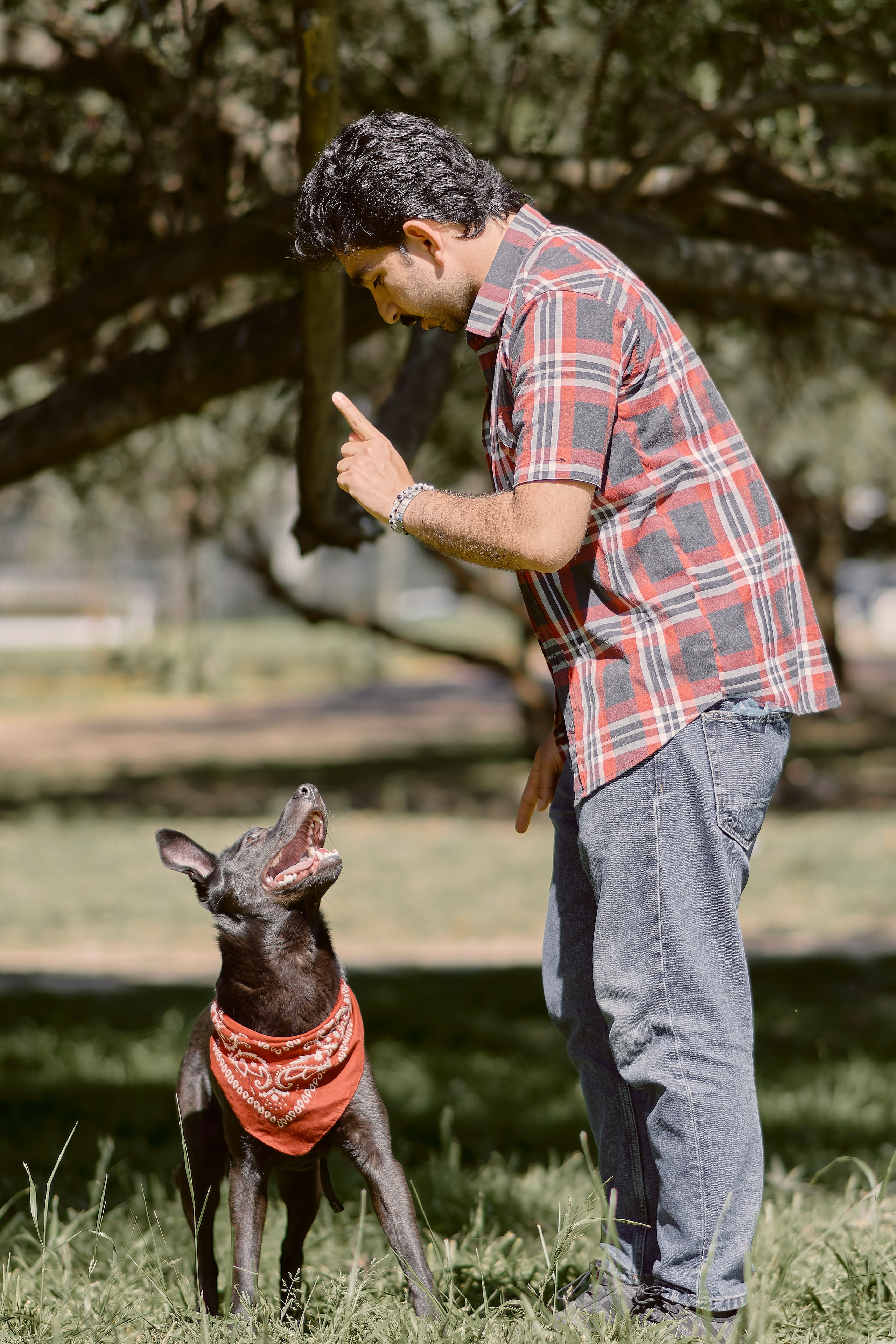 Frankell & Ruben. Valssy – Fotografía de mascotas en Uruguay. Retratos profesionales de perros y gatos