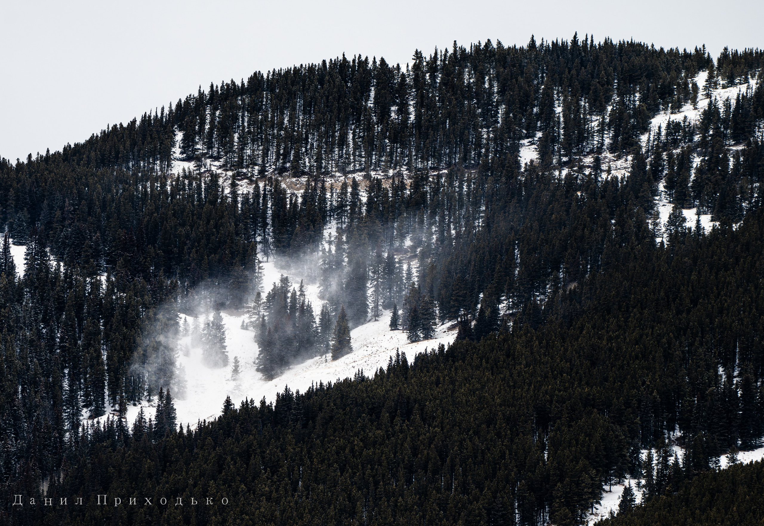 Danil Prikhodko Photography