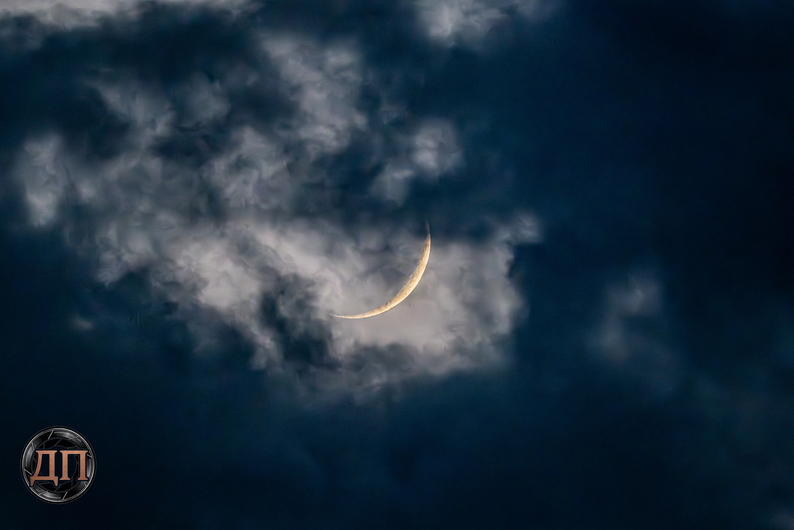 Danil Prikhodko Photography