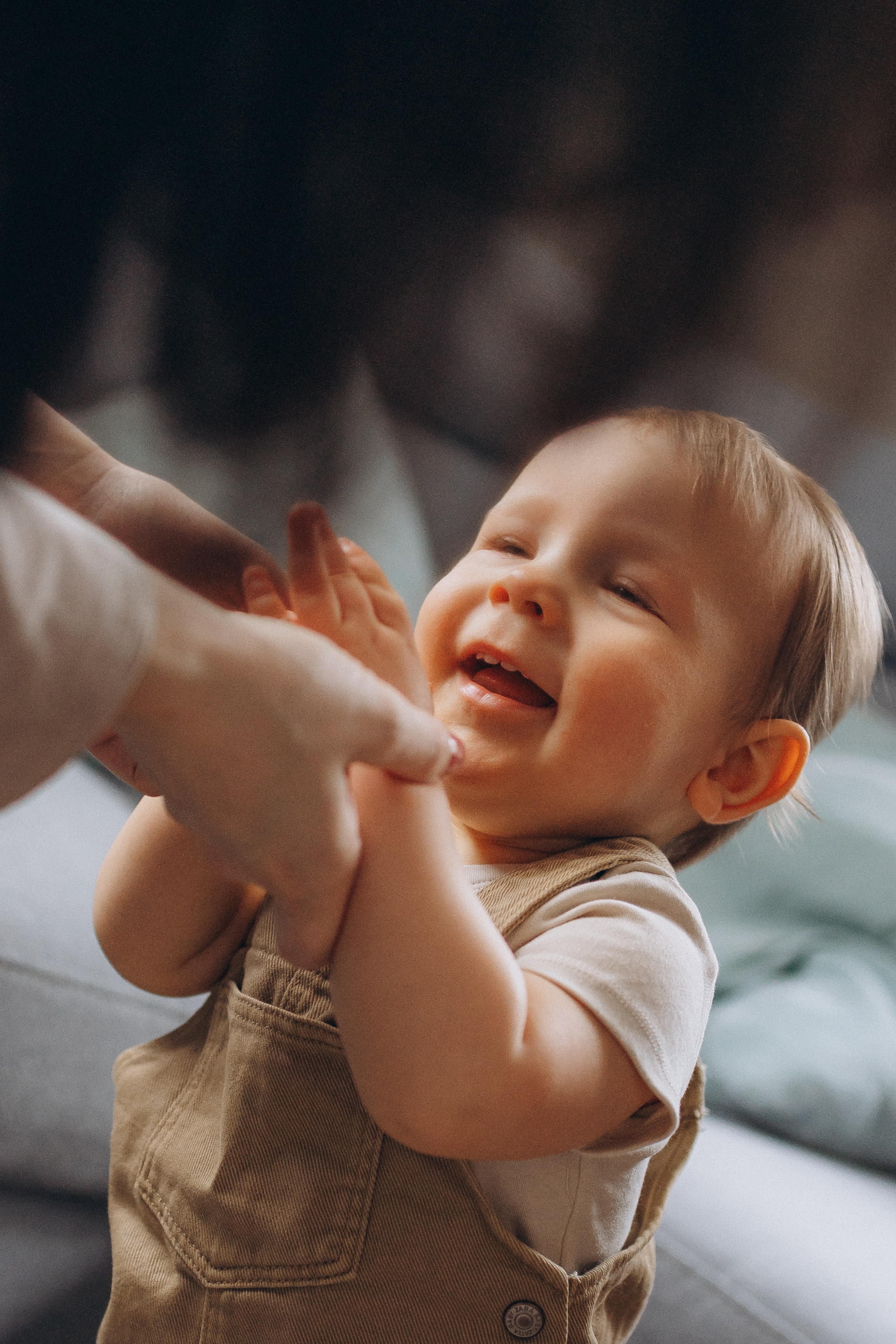 DITAS ģimene. GALVENĀ