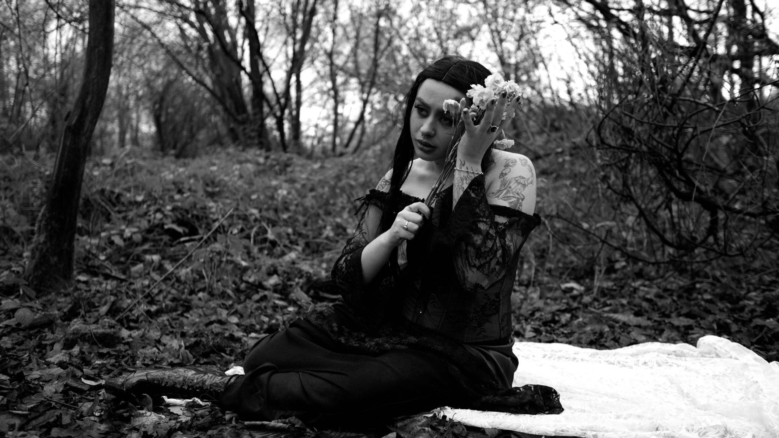 Dead Kitty Photoset. Molfar Visuals