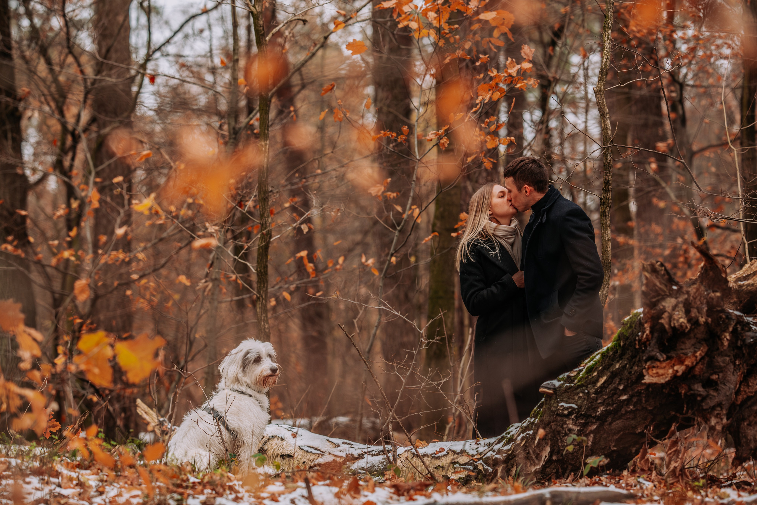 Śluby. Ułamek Chwili fotografia & film