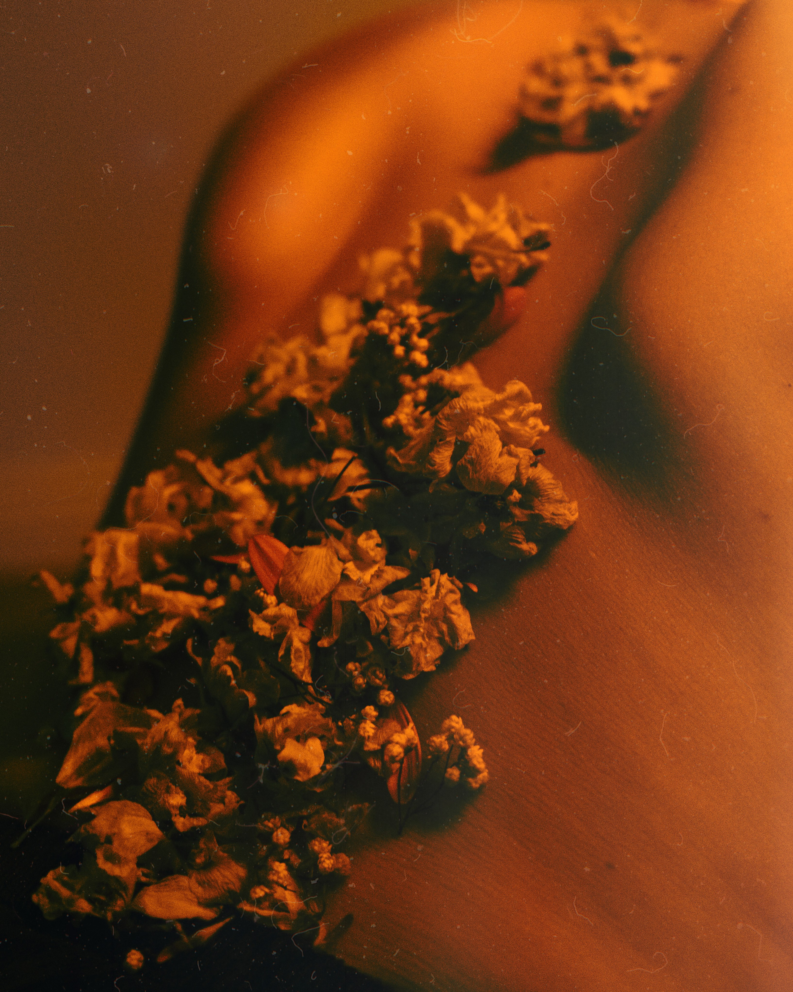 Maddi. Professional Photographer in Berlin — Portraits, Love Story, Events, F