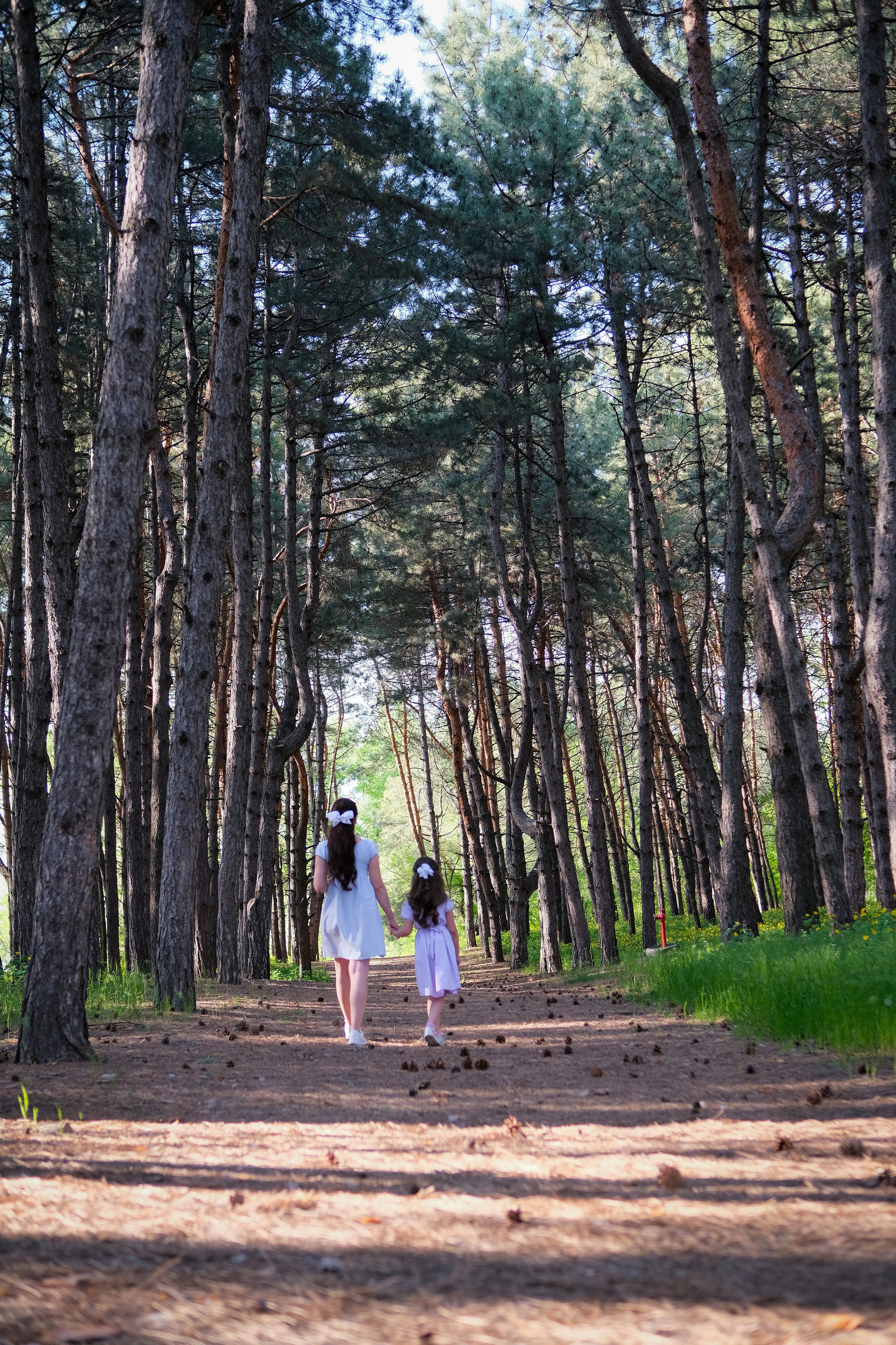 Ваш відеограф для будь яких подій