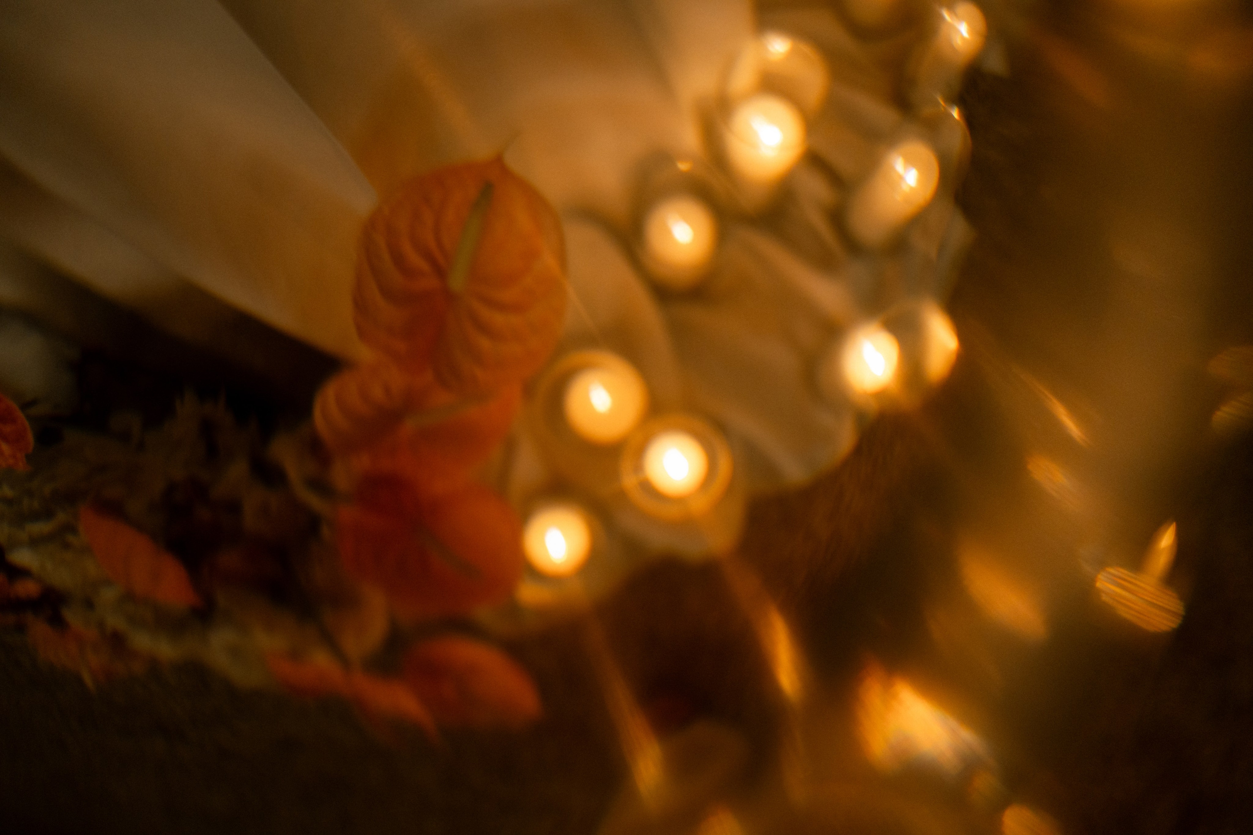 Wedding Thor and Julie