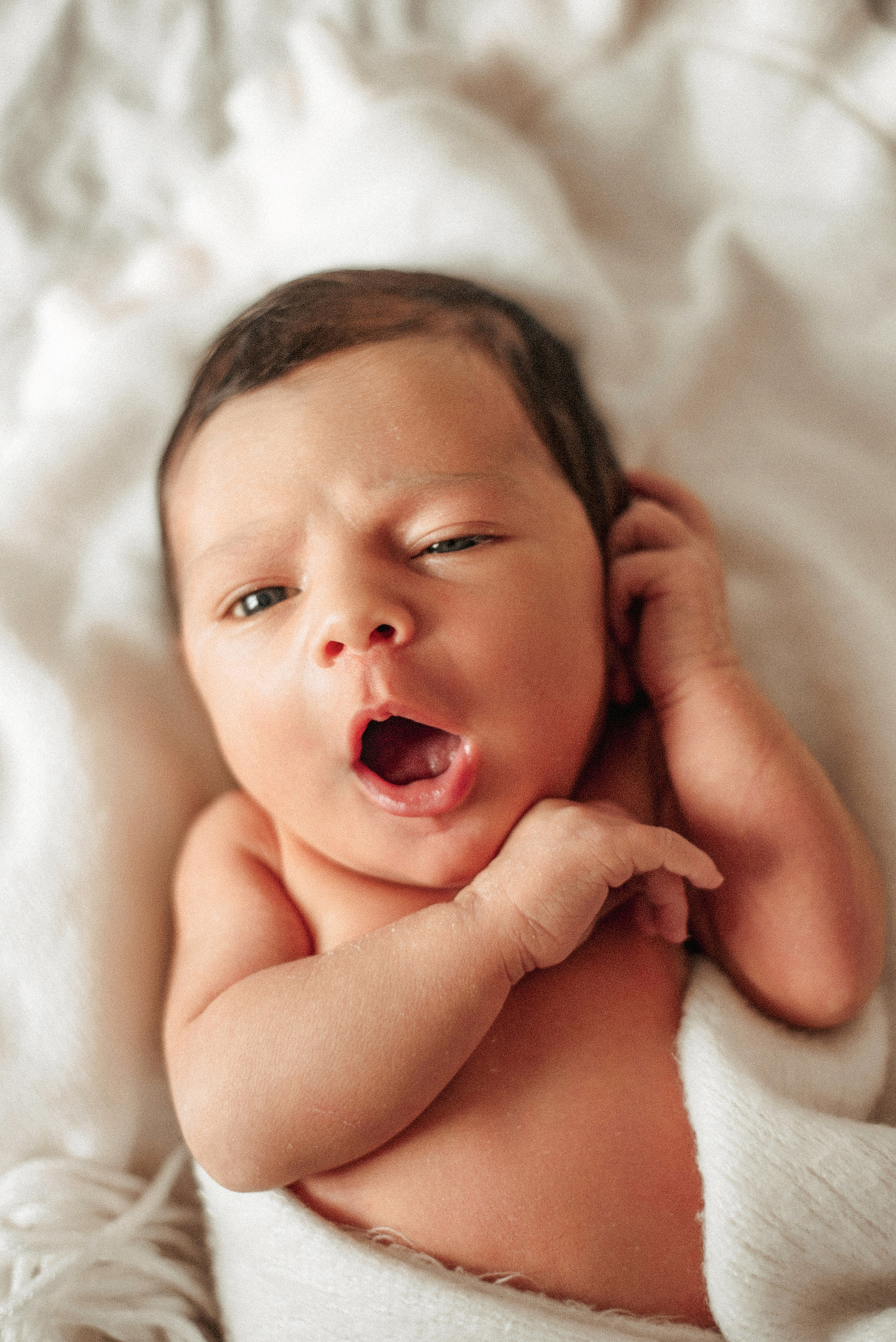 Family photography. Aigul Photography — wedding, newborn, and family photographer