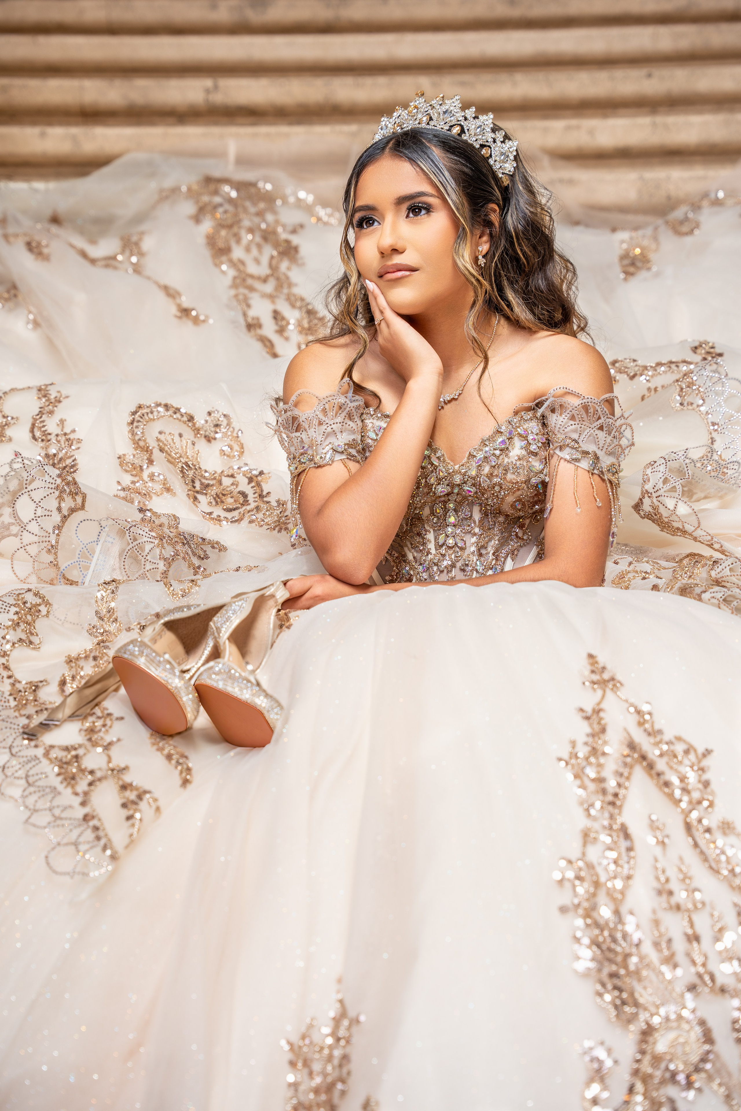 SOFIA XV AÑOS. Quinceañera y Bodas