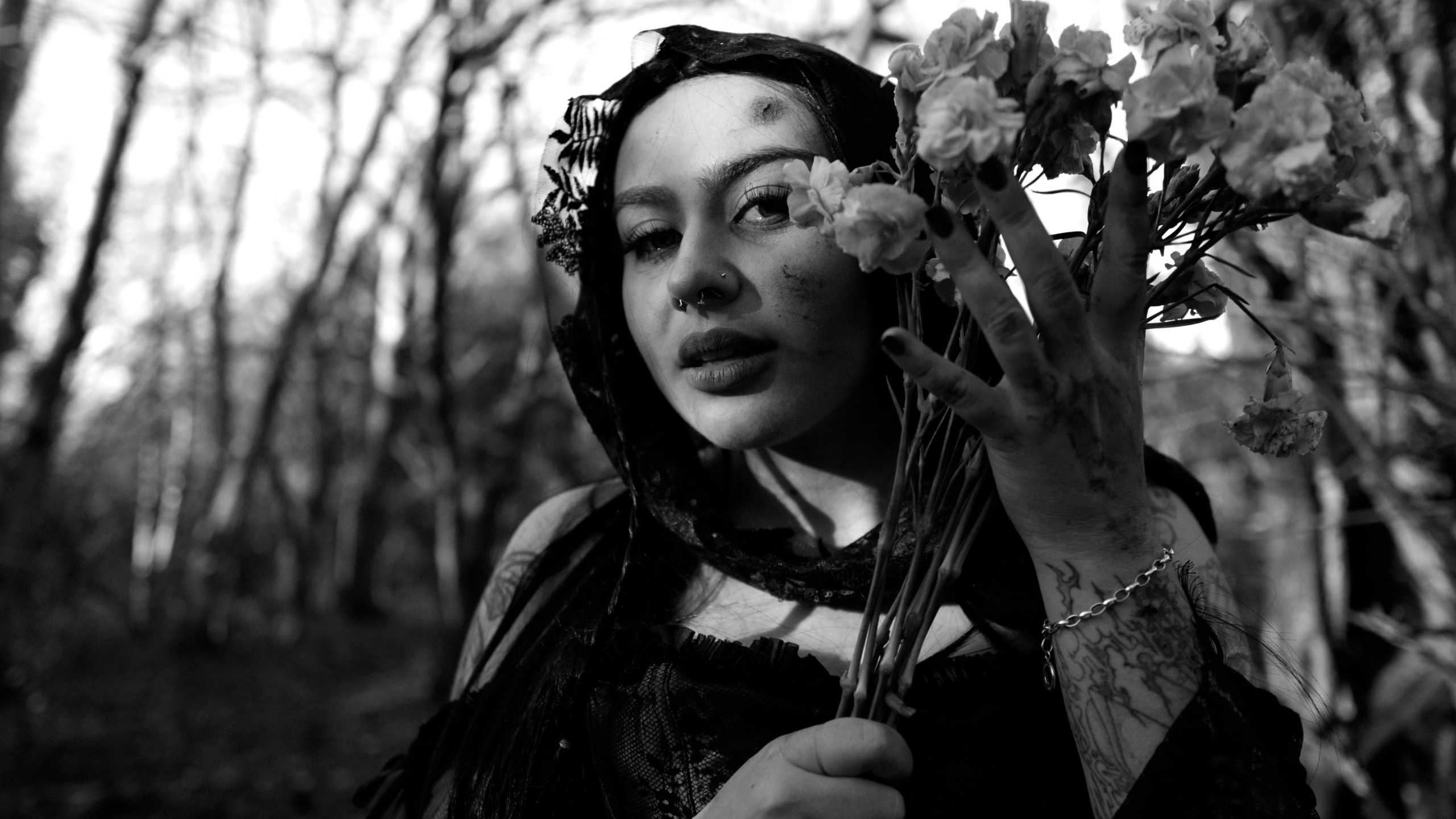 Dead Kitty Photoset. Molfar Visuals