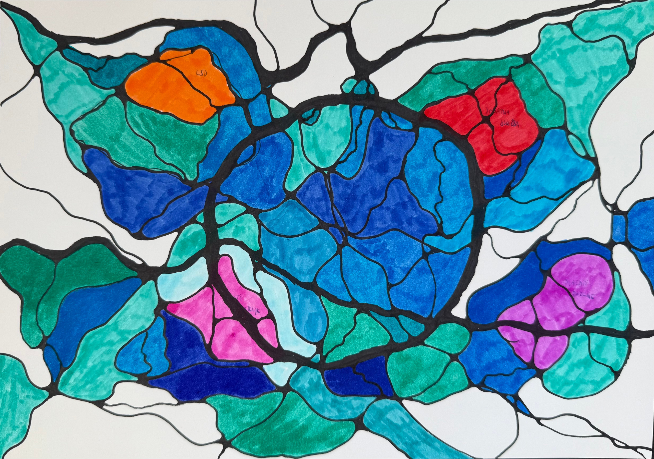 Nevrografika. Numerologija. Nevrografika. Delavnice