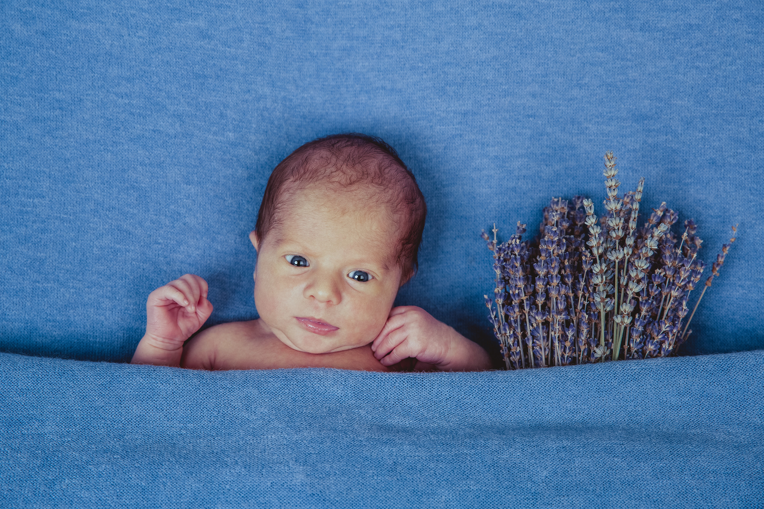 Newborn. Elena Kukhareva