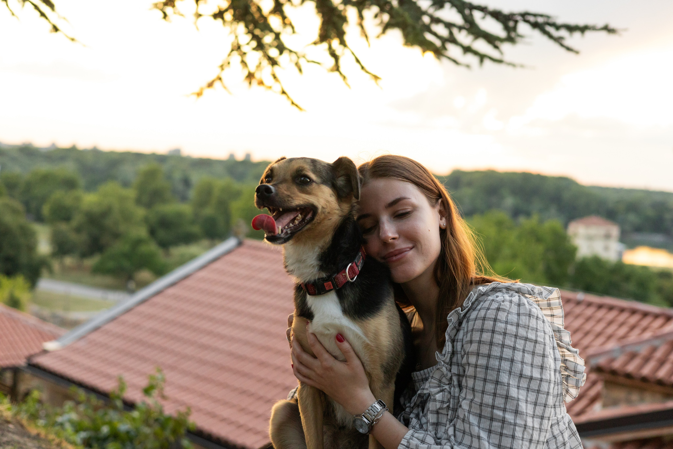 Настя, Денис и Мося. Фотограф-анималист | Белград