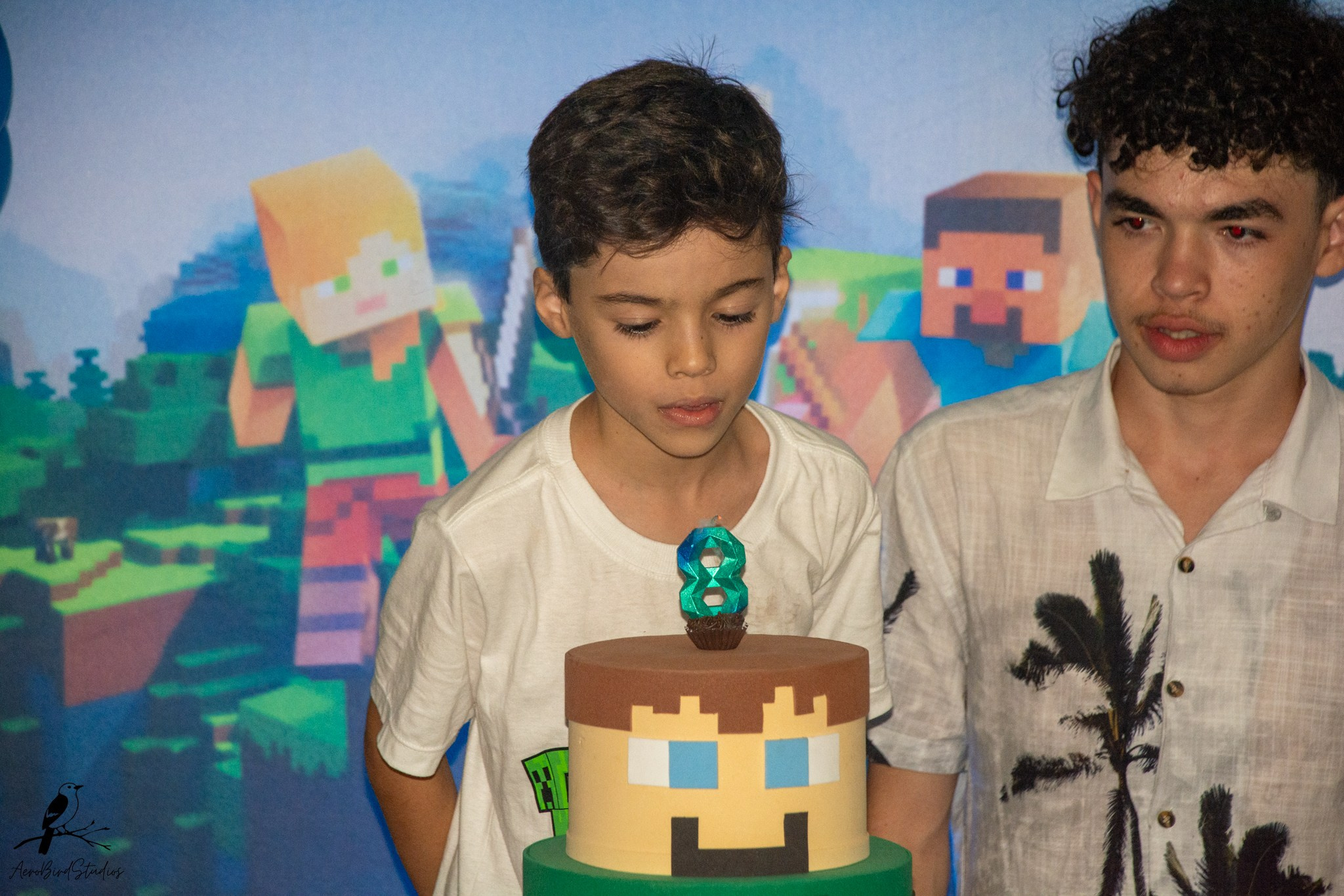 Leonardo 8 ano. AerobirdStudios