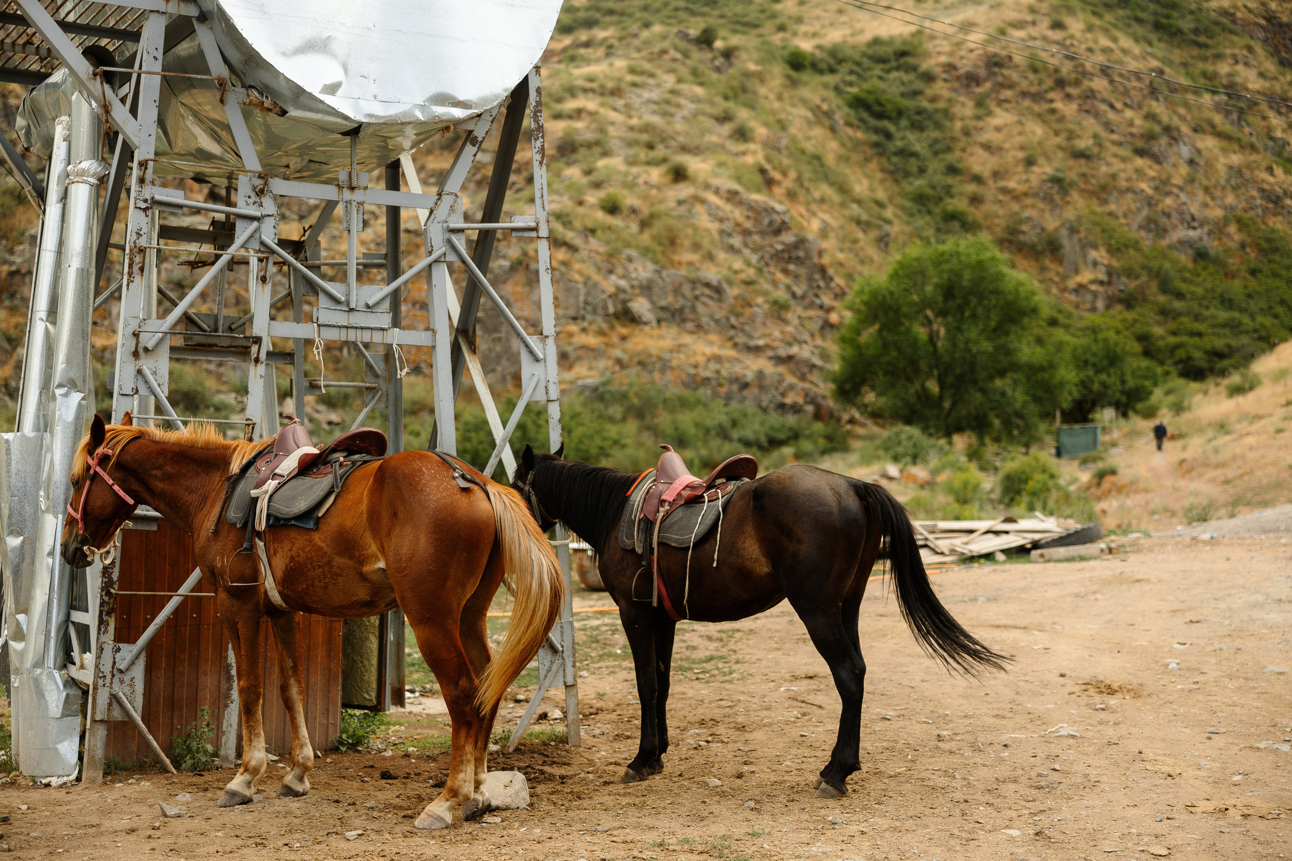 Самат и Айжан. Азимжан Нуритдинходжаев — свадебный фотограф