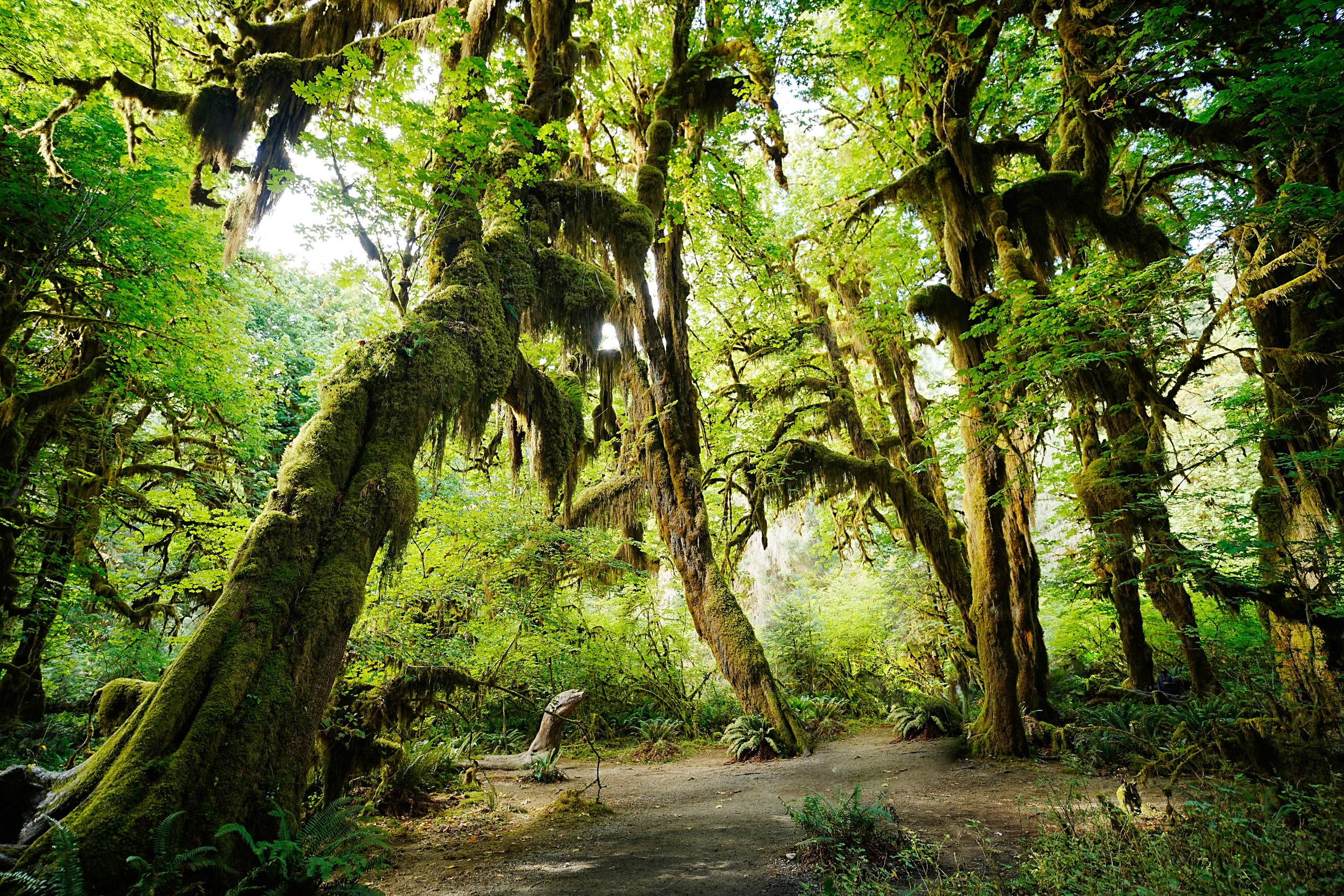 Photographer New York / Los Angeles