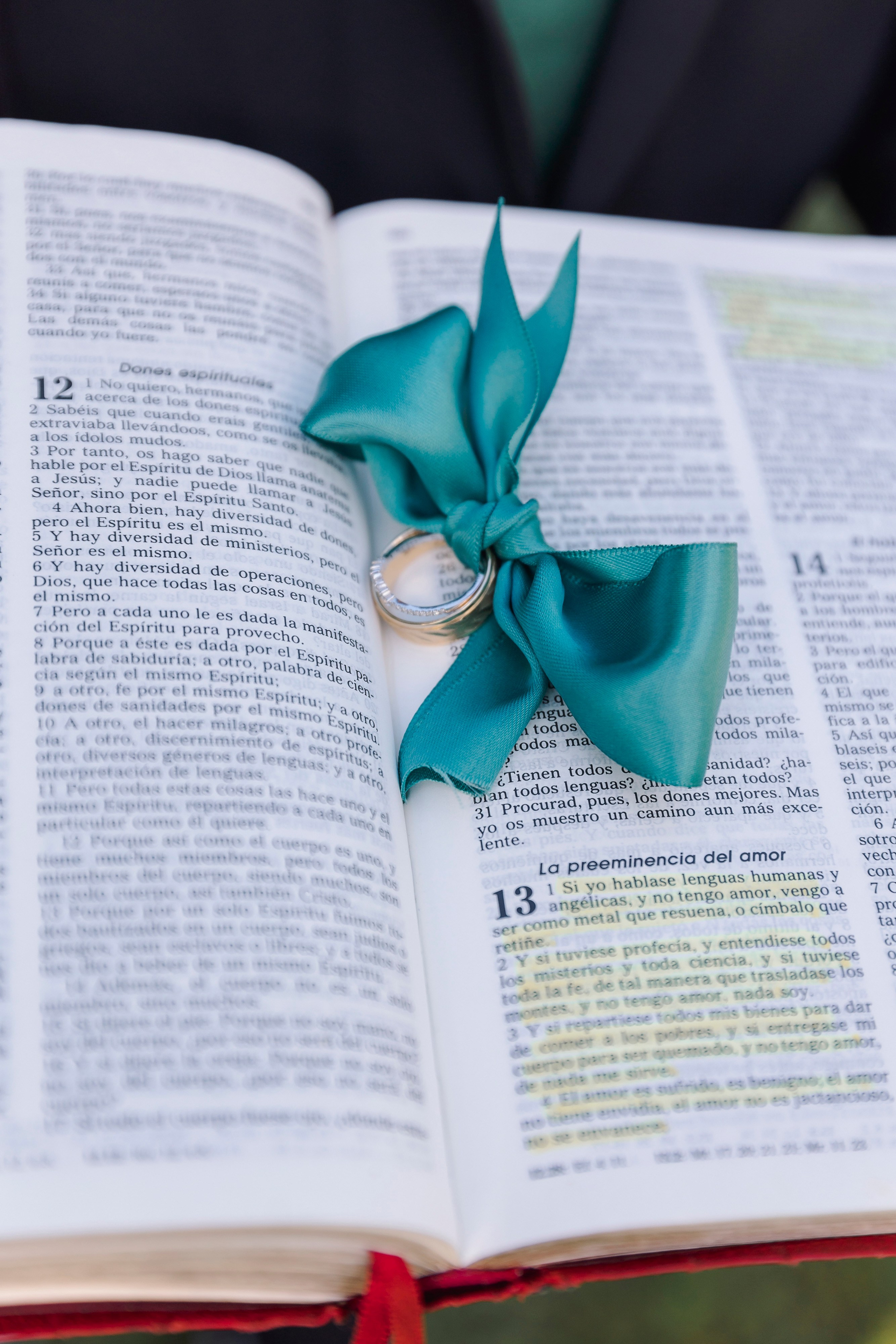 Ashley&Emanuel. Wedding photographer in Florida