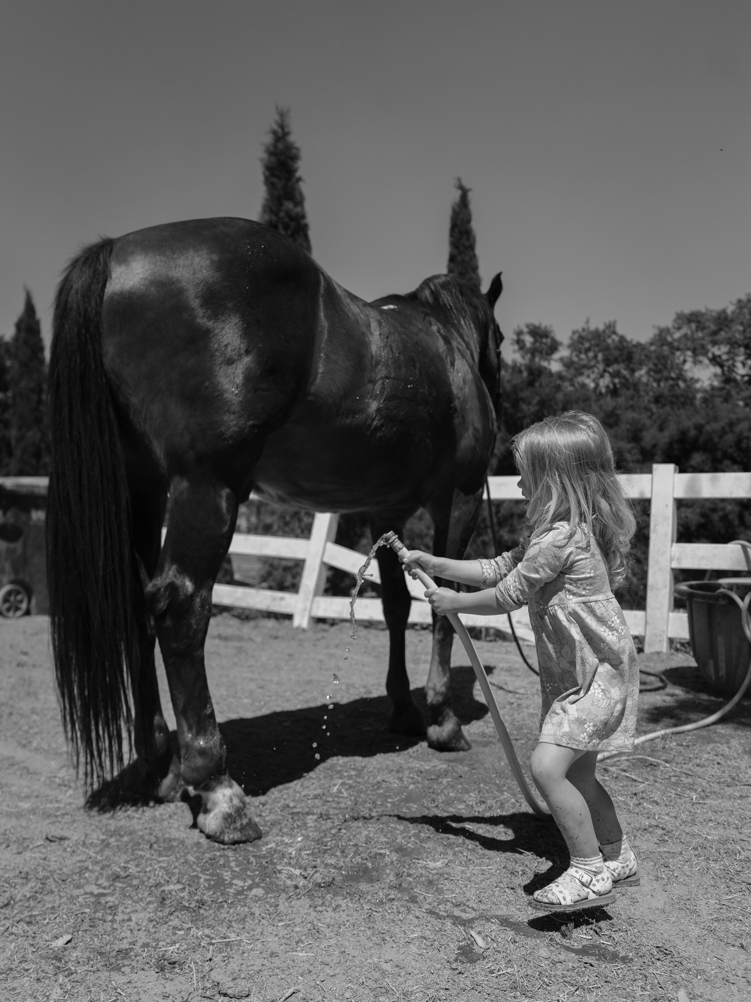 Children with horses. Фотограф и видеограф в США (и по всему миру) — Татьяна Иванова