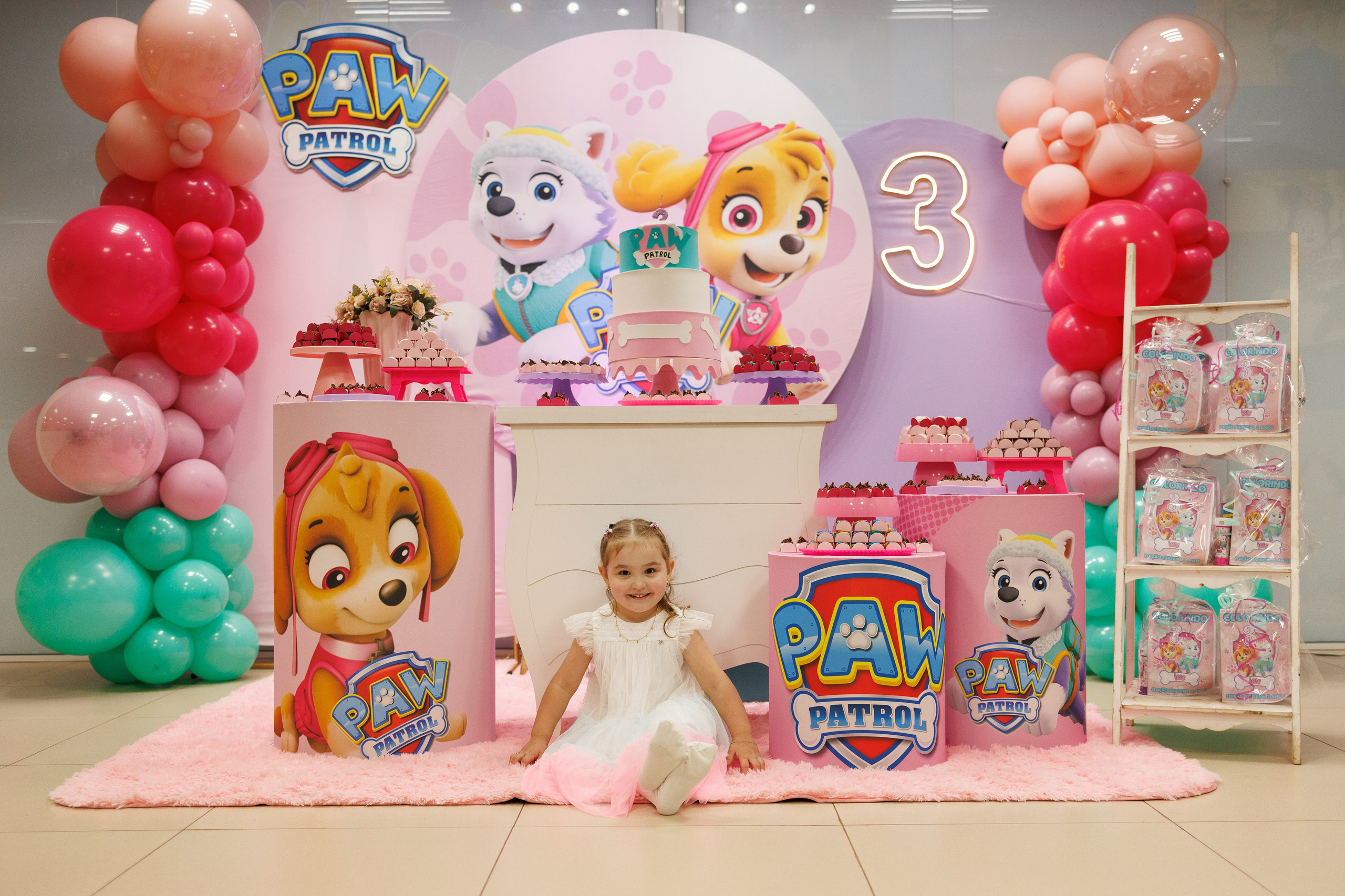 Festa Infantil. Fotógrafa de Famílias e Crianças no Brasil