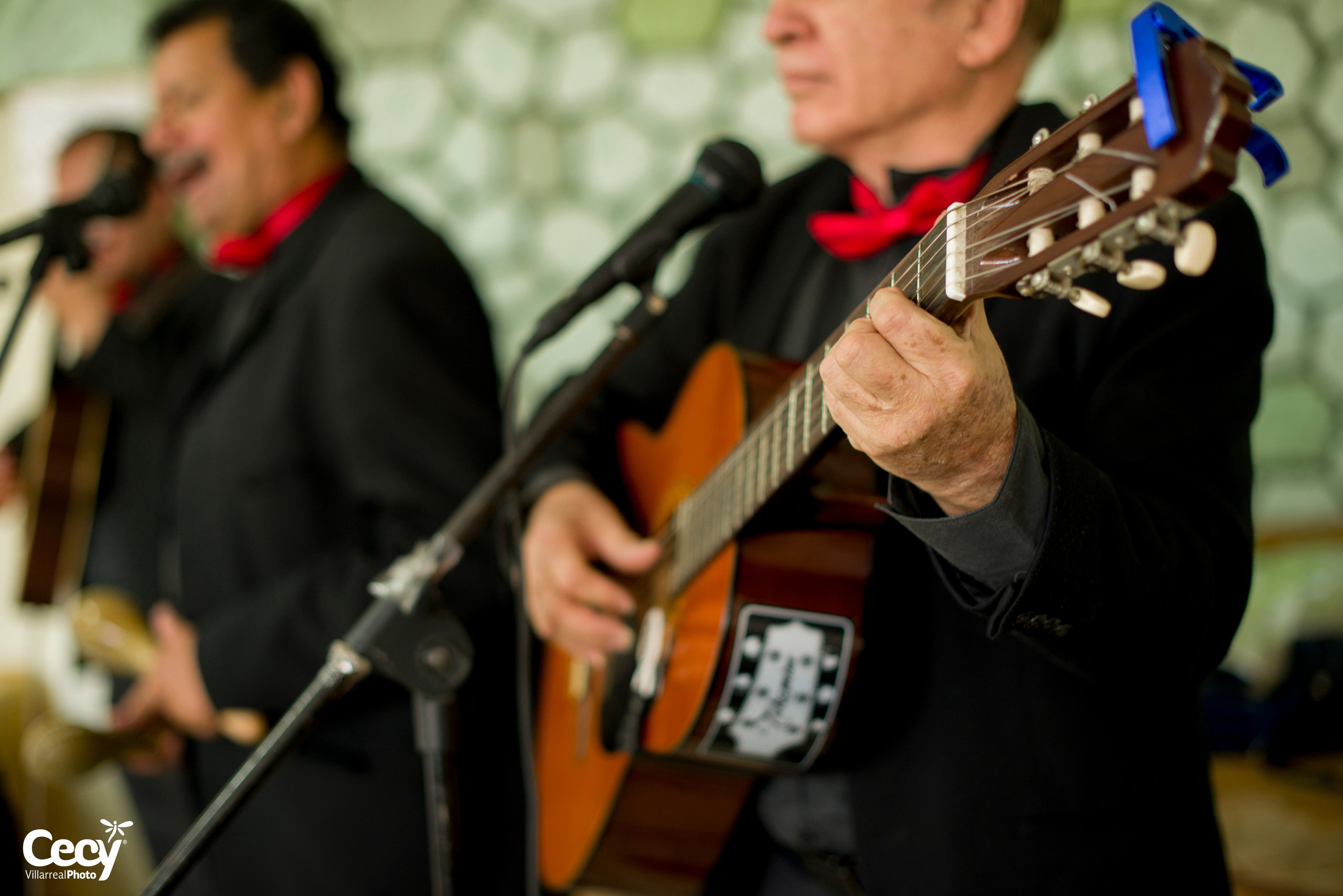 BODAS DE ORO - GUADALUPE Y FRANCISCO