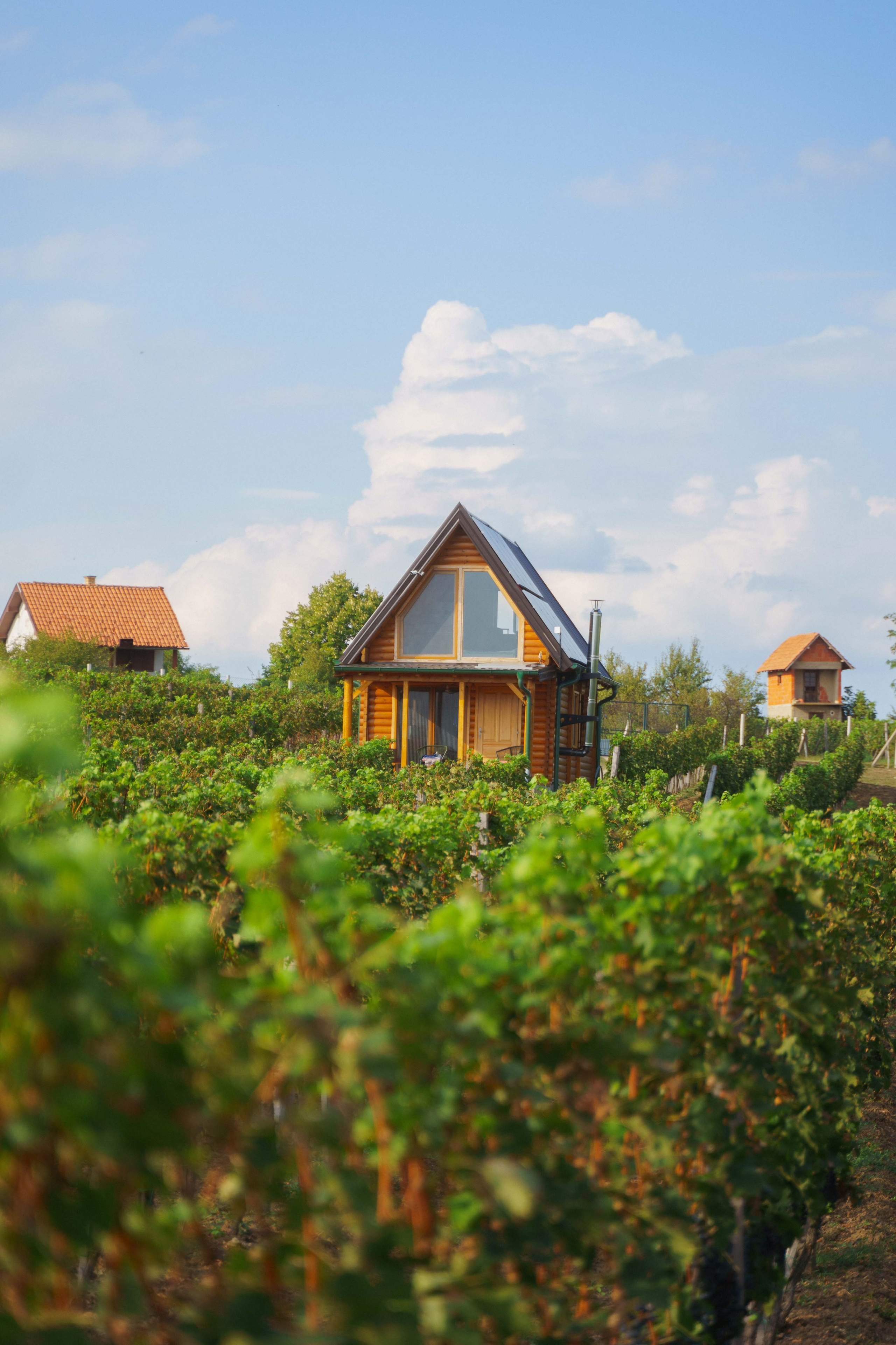 Jeep Commerce Event. Žukov Studio